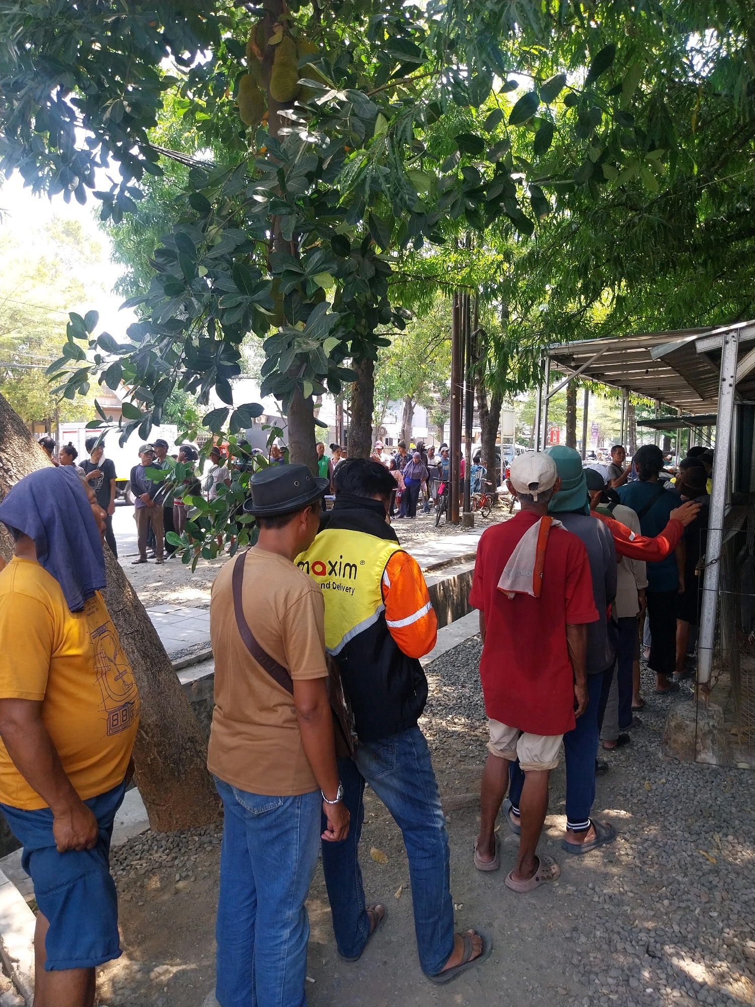 The image depicts a queue of people standing outdoors, in what appears to be a market or street-side vendor area, with a jackfruit tree prominently featured. The setting is urban, with buildings and trees visible in the background. The people in the queue are dressed in casual clothing, with some wearing what seem to be work uniforms, including a yellow vest with "Maxim" branding. The ground is covered in gravel and dirt. The scene is bathed in sunlight, suggesting it is daytime. The location is identified as Cirebon, Indonesia.