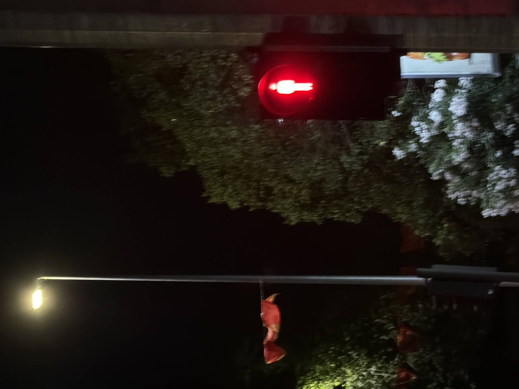 At night, a sideways view of a red pedestrian crossing light is observed, indicating "do not walk," with a lit street lamp below and a series of red flags hanging near the street lamp pole. Based on the plants and signs in the image, this could be in Podgorica, Montenegro.