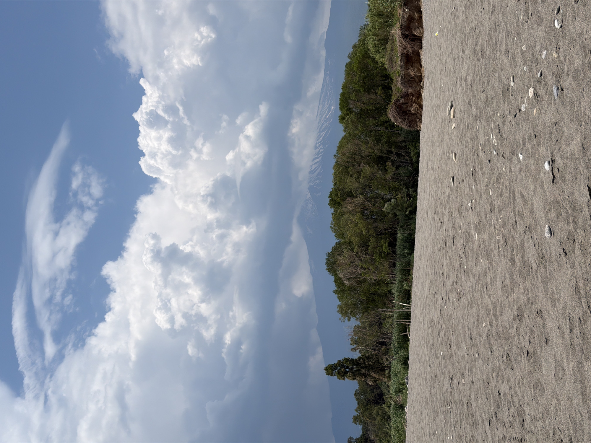 The image depicts a beach scene near Chianchitta, Italy. The foreground is dominated by dark-colored sand interspersed with scattered shells and pebbles. Adjacent to the beach is a strip of vegetation comprised of trees and shrubbery. Behind the vegetation and partially obscured by clouds is a mountain range. The sky is filled with large, puffy white clouds against a blue backdrop. The orientation of the image is rotated 90 degrees counter-clockwise.