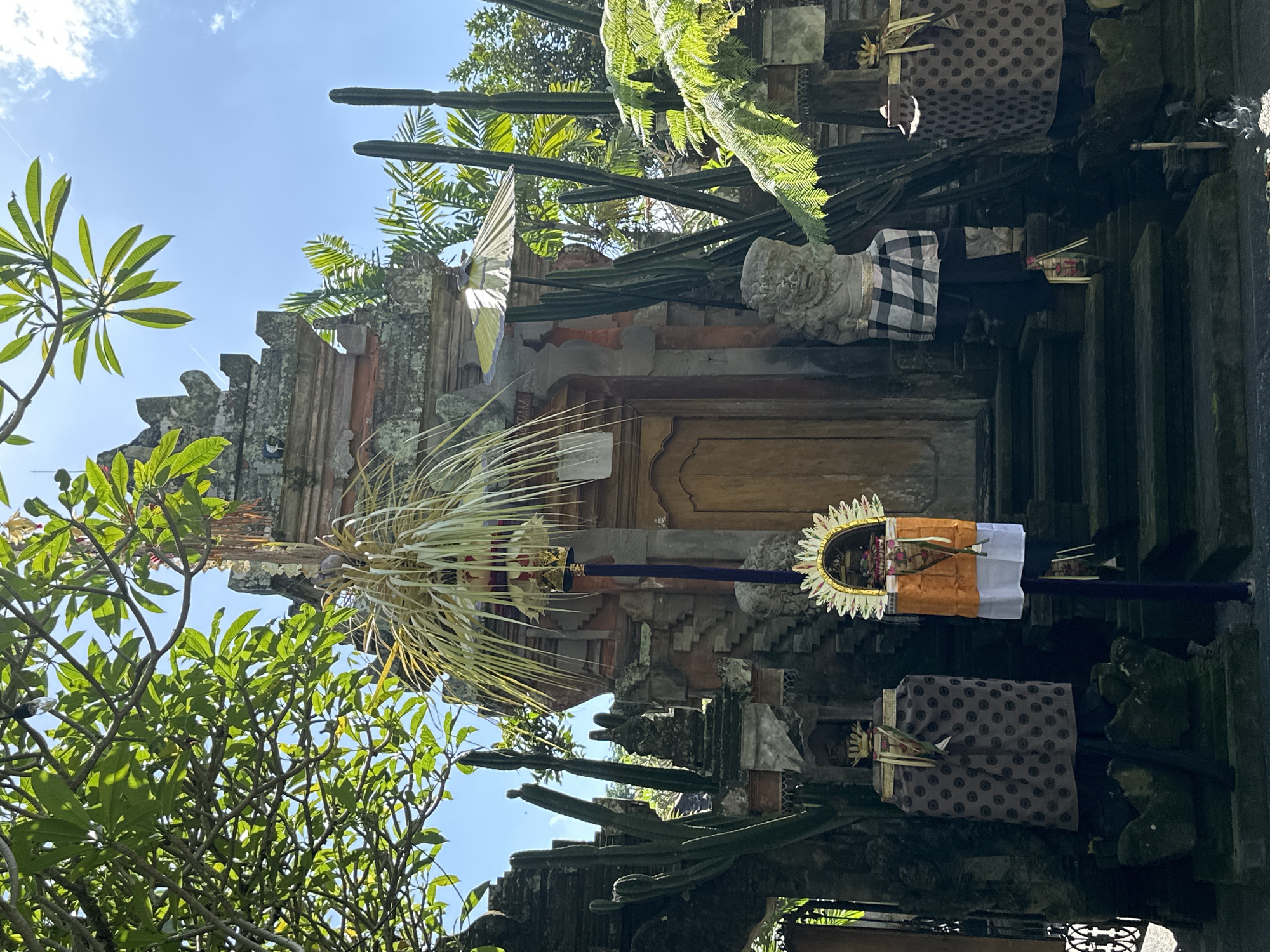 This image depicts an outdoor scene in front of a temple structure in the Ubud District, Indonesia. The temple entrance is marked by a wooden door, flanked by stone statues and covered in intricate carvings. Tall, thin cacti stand on either side of the entrance, along with lush green foliage and trees overhead, suggesting a tropical environment. Two draped objects, one with a polka dot pattern and the other with a checkered fabric, are positioned on either side of the entrance. A decorative, tiered ornament with yellow and white elements hangs from a pole in front of the temple, adorned with palm fronds. The sky is visible and appears blue with scattered clouds. The overall impression is one of a sacred and natural setting, likely a place of worship or cultural significance in Bali.