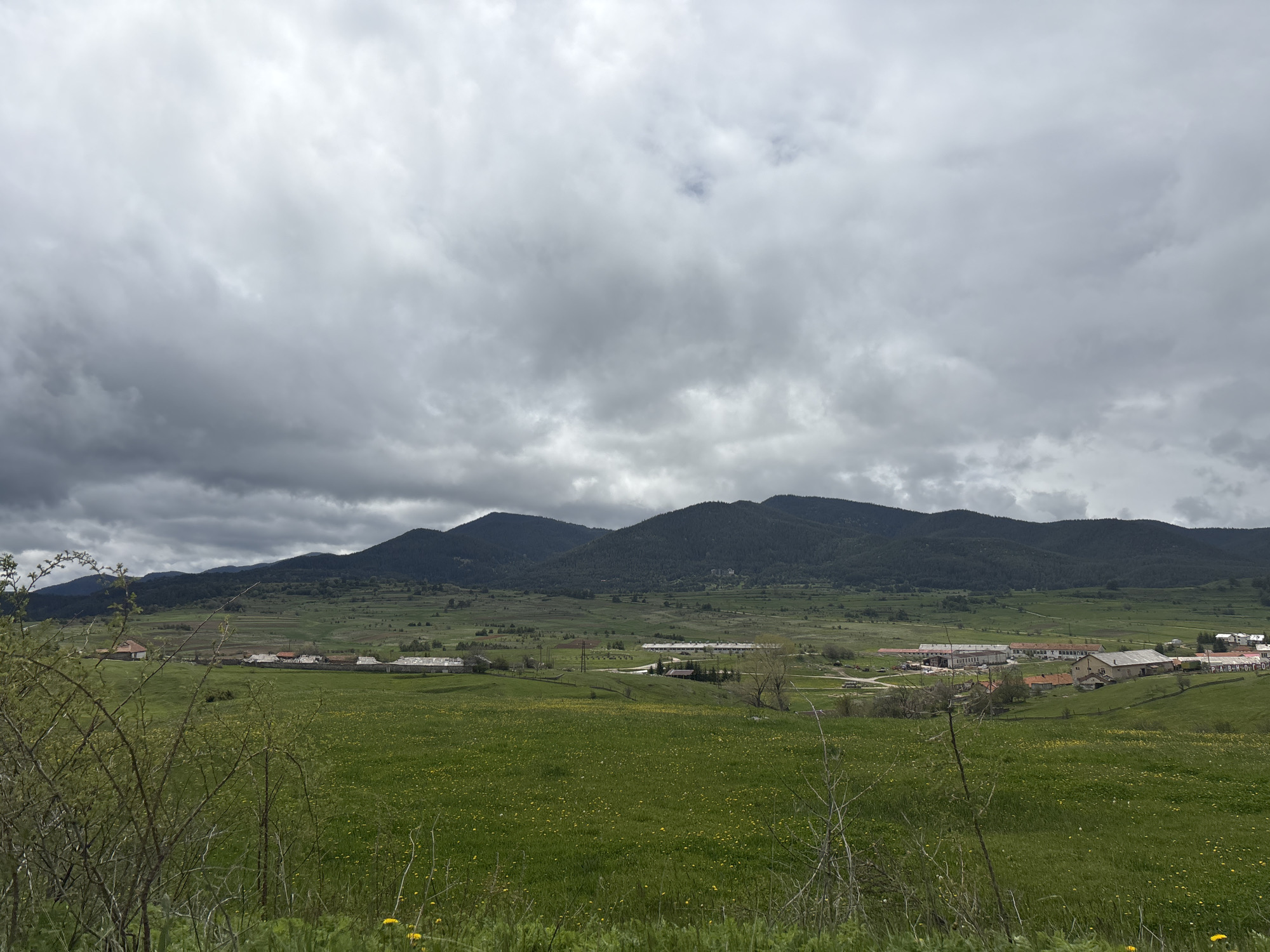 The image depicts a landscape in Ravnogor, Bulgaria, under an overcast sky. In the foreground, there is a field of green grass with scattered yellow wildflowers. A few shrubs with bare branches are also visible.
In the midground, a valley unfolds with several buildings and structures, presumably forming a village or agricultural complex. Beyond the valley, there are forested hills that rise up against the sky. The sky is dominated by heavy, grey clouds.