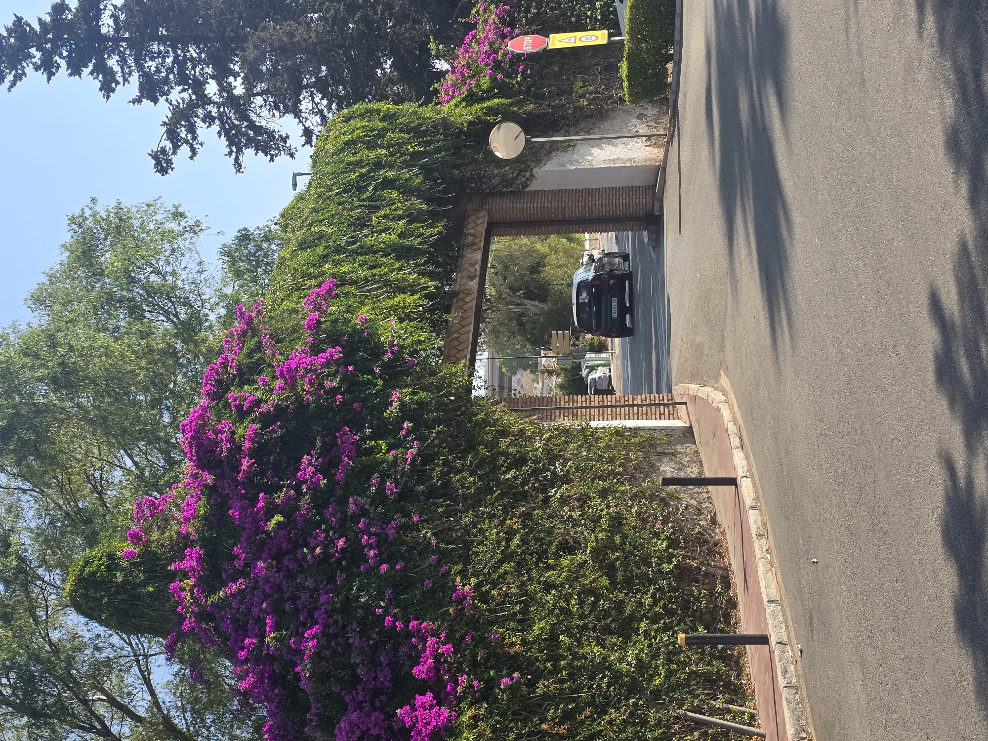 This image depicts an entranceway covered in lush green ivy and vibrant purple bougainvillea flowers. The entryway is constructed with brick pillars and a decorative tiled arch. A black car with license plate "5948 LKK" is seen driving through the archway. To the right of the arch, a circular mirror and a STOP sign are visible on a pole. Yellow signs with text in Spanish are also present near the STOP sign, including one indicating a speed limit of 30. The scene appears to be in a sunny outdoor environment, likely a street or driveway, with trees and clear blue sky overhead. Based on the architectural style and vegetation, this entranceway is likely located in Málaga, Spain, a city known for its Mediterranean climate and abundant bougainvillea.