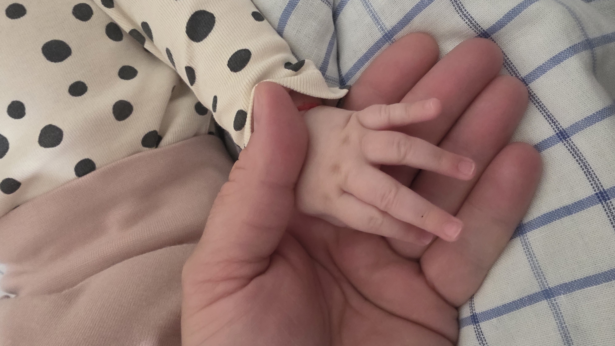 A close-up shot shows an adult hand holding a baby's hand. The baby is wearing a light-colored, polka-dot long-sleeved shirt and light pink pants. The background consists of a blue and white checkered blanket. There is no indication of Blagoevgrad, Bulgaria.