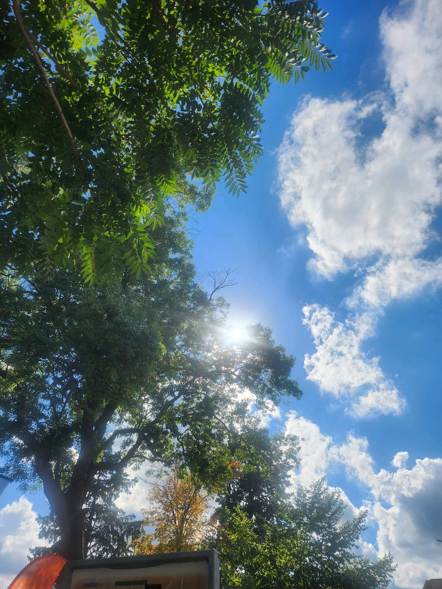 The image shows a view looking up through green tree foliage towards a bright blue sky dotted with white, fluffy clouds. The sun is visible, shining through the leaves and casting a lens flare across the scene. The trees are lush and green, with some showing hints of autumn colors in the distance. A portion of a sign and a bright orange object are visible in the lower left corner, suggesting an outdoor location in a park or public space. The overall impression is one of a sunny day with clear skies and vibrant natural elements. The location is identified as Tsarevo, Bulgaria.