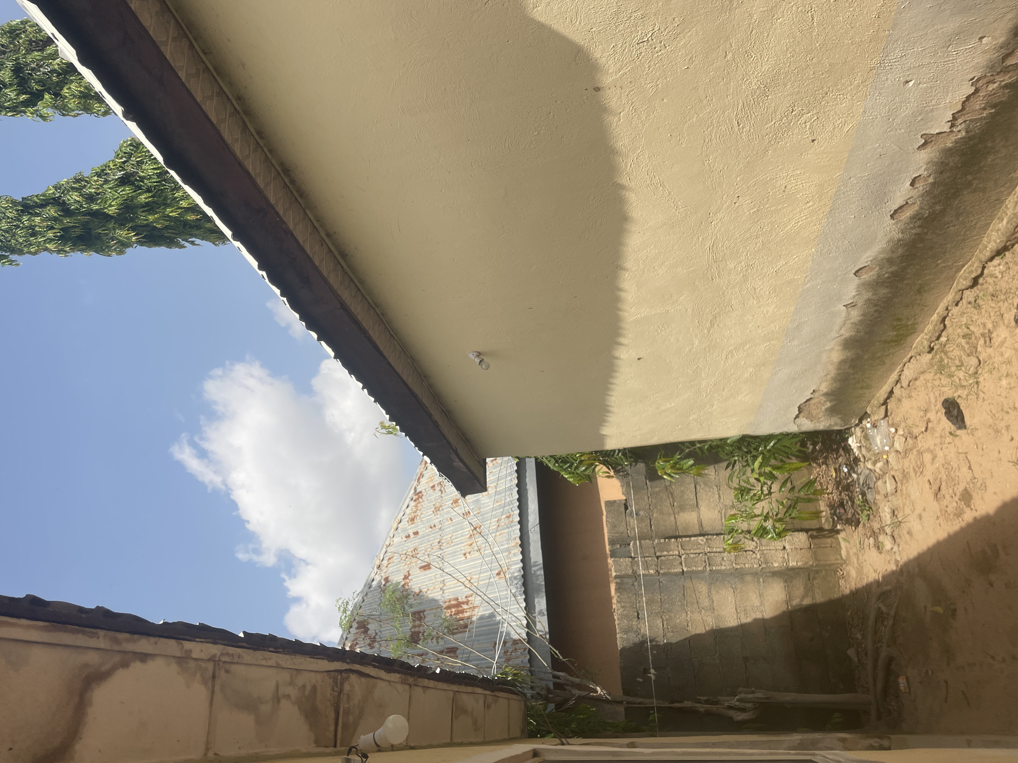 The image depicts an outdoor scene, likely a residential area, under a bright, partly cloudy sky. The foreground is dominated by the exterior wall of a building, painted a pale yellow, with evidence of wear and tear along its lower section. To the left, the eaves of another building are visible, with a light fixture hanging from its underside.
In the mid-ground, a rusty, corrugated metal roof is partially visible, characteristic of many structures in Jauro Yinu, Nigeria. A thin, leafless tree stands near this roof, its branches extending upwards. A low wall constructed of concrete blocks separates this area from a patch of dirt and sparse vegetation. Some debris, including plastic bottles, is scattered on the ground. In the background, two tall, slender trees with dense green foliage rise into the sky, a common sight in the Nigerian landscape. The overall impression is one of a sunlit, somewhat rustic environment in Jauro Yinu.