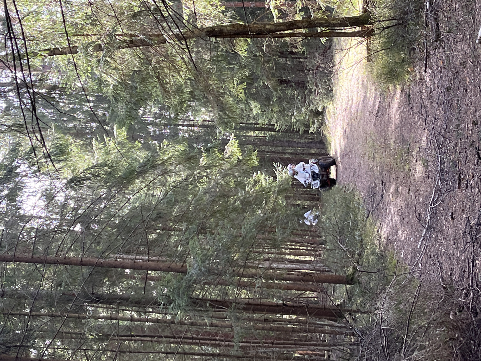 A color photograph depicts a forest scene in Razdolye, Russia. The perspective is low and shot up a forest path with dense trees lining both sides. A white ATV with two people aboard is visible further up the path. The focus is primarily on the dense tree line which obscures detail of the ATV and surrounding environment. The forest path stretches into the distance where light filters through the trees.