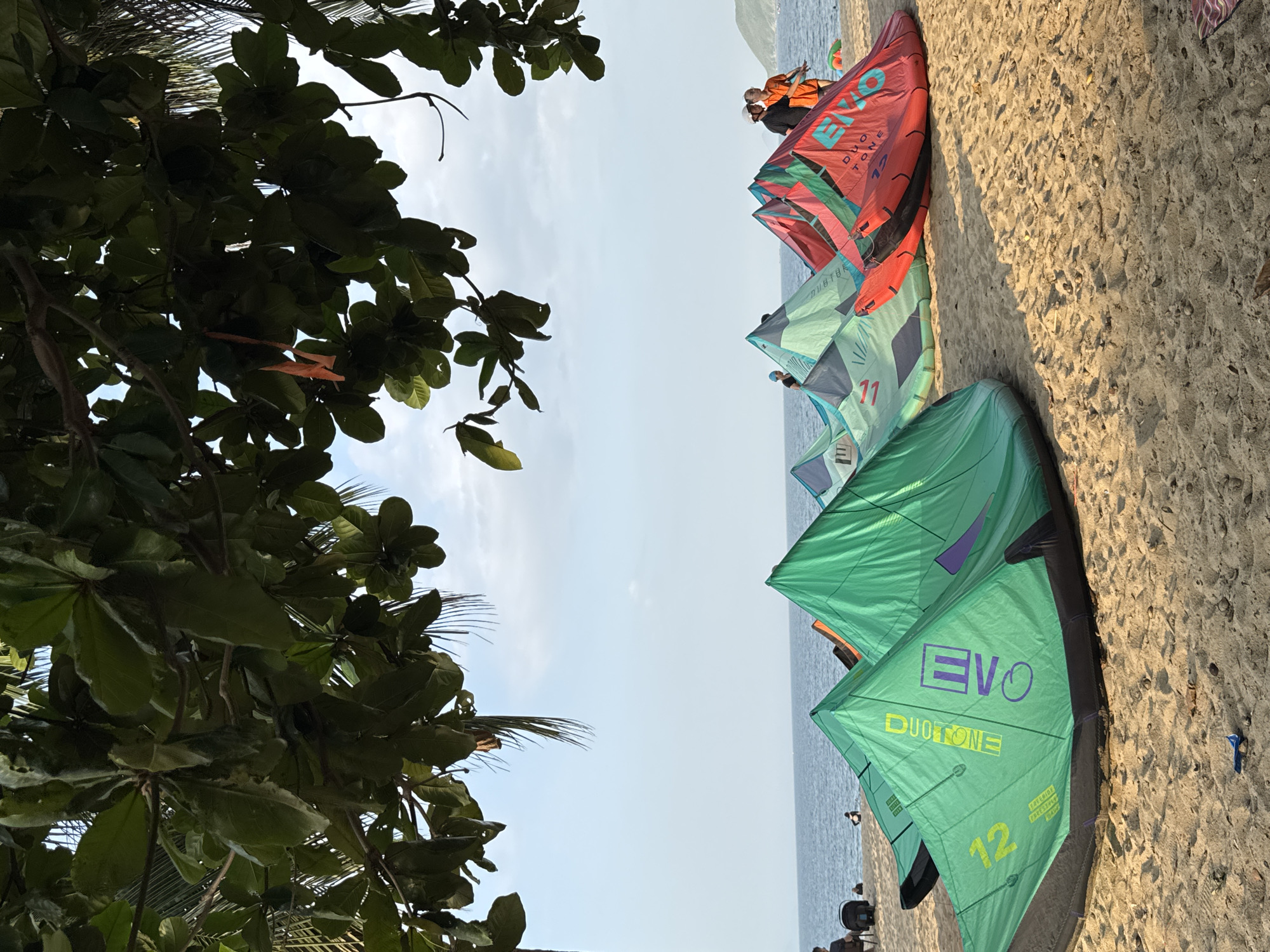 The image depicts a beach scene in Nha Trang, Vietnam, with several kiteboarding kites laid out on the sand in the foreground. The kites are colorful, predominantly green and red, with visible branding like "DUOTONE" and "EVO". The beach is sandy, with small pebbles and debris scattered across it.
In the background, the calm ocean stretches towards the horizon under a pale blue sky with some clouds. The waterline is visible, and a few distant figures can be seen on the beach and in the water, suggesting it's a popular spot for recreational activities.
Framing the top of the image are the dense green leaves and branches of a tree, with some palm fronds visible to the right, casting shadows and adding a natural element to the scene. Two individuals are standing near the red kites in the middle ground, appearing to be interacting with the equipment or observing the surroundings. The overall impression is a serene coastal environment, likely during daylight hours, with kiteboarding activities being a prominent feature.