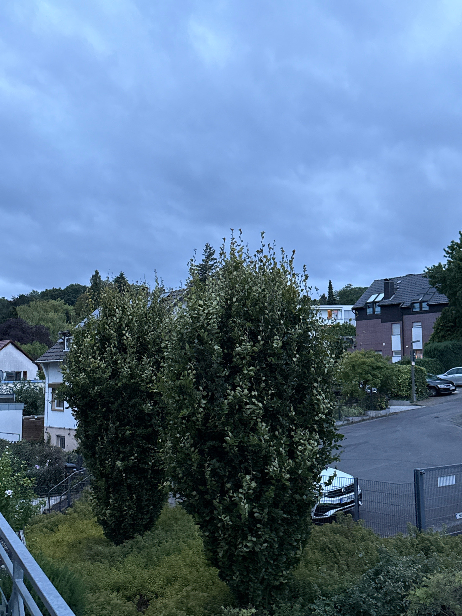 The image shows a residential street scene in Bonn, Germany, under a cloudy sky. In the foreground, two large, dense green bushes dominate the center of the frame. Behind them, a street is visible, with a black car parked on the right side of the road and a white car partially visible behind a fence. Several houses are scattered throughout the scene, with varying architectural styles. One house on the right features a dark-tiled roof with dormer windows and brick facade, while a lighter-colored house with a tiled roof is visible to the left. Further in the background, a tree-covered hillside rises, suggesting a slightly hilly terrain within the city. The overall atmosphere is overcast and subdued.