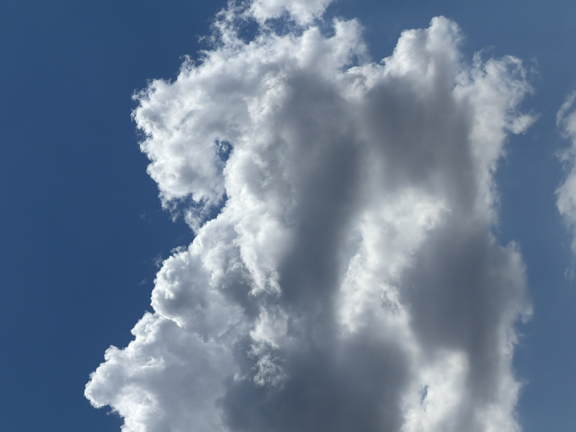 The image shows a bright blue sky with a cluster of cumulus clouds. The clouds are white and fluffy, with some darker gray shadows indicating their depth and thickness. The sunlight is strong, illuminating the tops of the clouds. The image was taken in Bishkek, Kyrgyzstan, and it captures a typical scene of a clear day with scattered clouds in the sky. There are no people, objects, or specific landmarks visible in the frame, other than the sky and clouds.