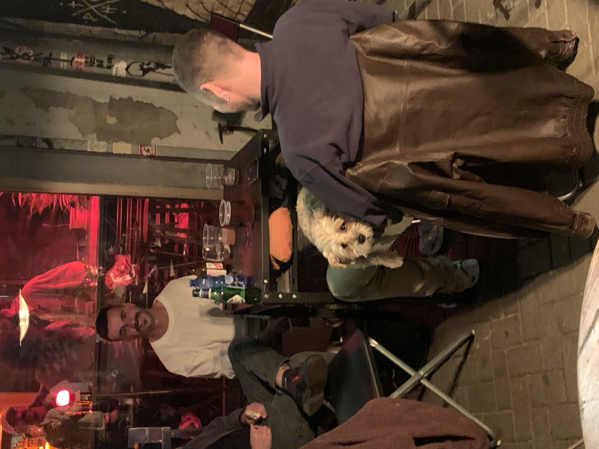 A nighttime scene inside a bar in Tel Aviv, Israel. A man in a white shirt smiles at the camera. To his left, an individual with reddish hair is visible. A bar table in the center is stocked with glasses, bottles, and other items. A man in a blue shirt and a brown leather jacket is visible. A small, fluffy dog stands on the table between the man and the bar. The background features a dimly lit interior.