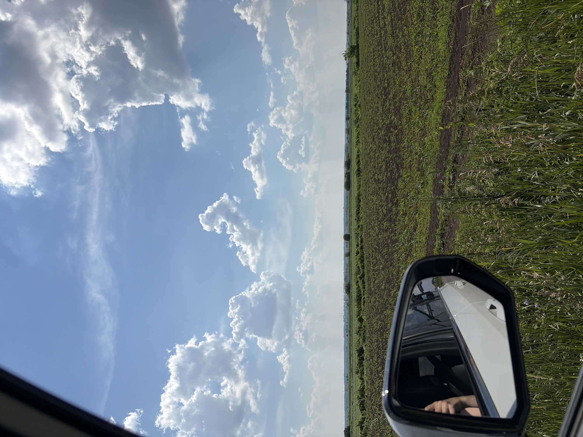 The image captures a view from a car, looking out the side window. In the foreground, a side-view mirror reflects a white car and a person's arm with a visible thumb. The mirror is framed by the car's interior and the exterior view is dominated by a vast, cultivated field stretching towards the horizon. The field is a mix of dark soil and emerging green crops. Beyond the field, a line of trees and distant structures, possibly industrial, are visible against a bright blue sky filled with scattered white clouds. The scene appears to be in a rural area, as suggested by the expansive farmland and the absence of dense urban development.