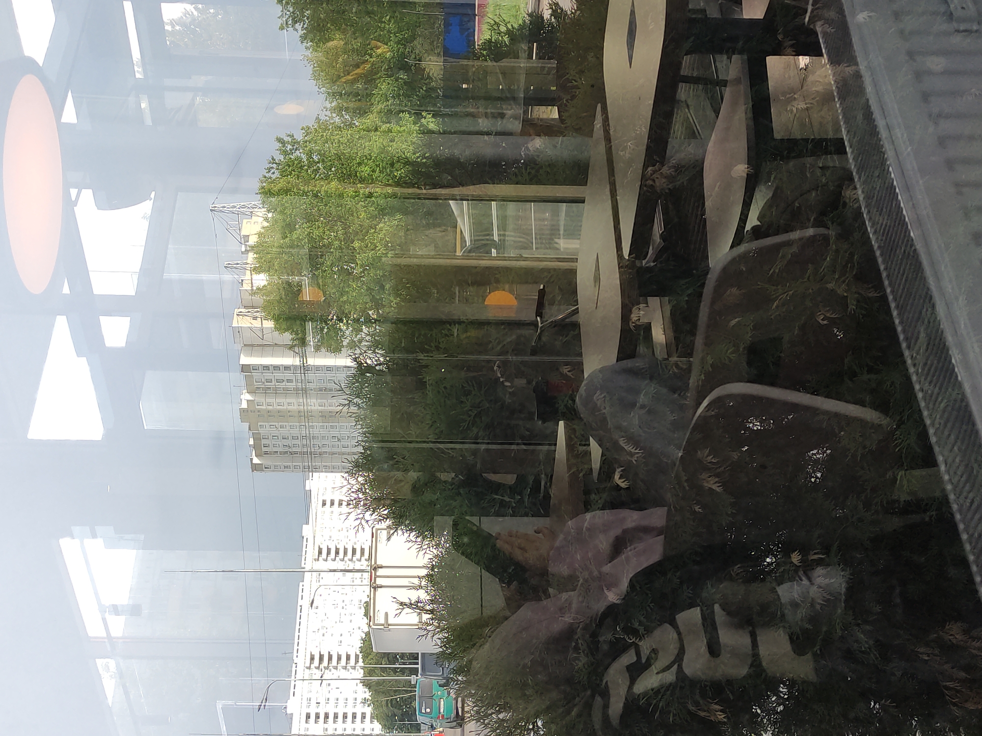 The image captures a scene through a reflective window, blending interior and exterior elements. Inside, there are decorative objects resembling stylized leaves, arranged amongst greenery. A purple fabric drapes around some of the display items. Outside, a city landscape is visible, including a high-rise building, trees, a street with lamp posts, and a vehicle. The overall environment appears to be an urban setting with a mix of natural and built structures.