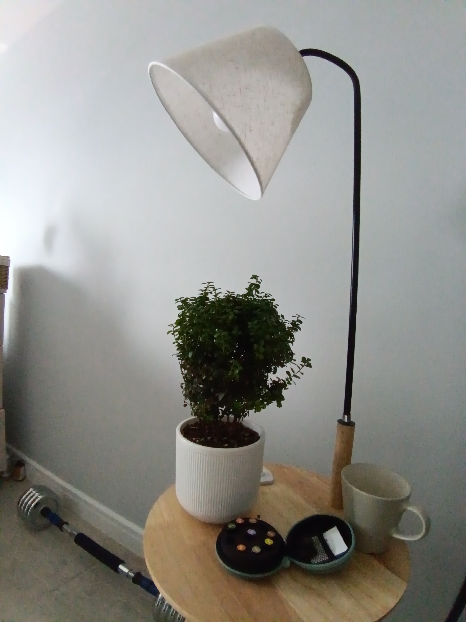 An interior scene within a dwelling in Sampo KP (Krasny Posyolok, Russia) displays a corner area with a floor lamp, a small plant, and a round side table. The floor lamp has a cream-colored fabric shade and a dark pole that transitions to a light wood section near the base. On the side table, a potted green plant with dense foliage sits in a white ribbed pot. To the right of the plant is a light gray mug. In front of the mug and plant is a small, teal, circular case that is open, revealing compartments with what appear to be small pills or candies. A portion of a dumbbell bar with silver weights is visible on the floor in the lower left corner of the image, leaning against the wall. The wall behind the objects is painted a light, neutral color.