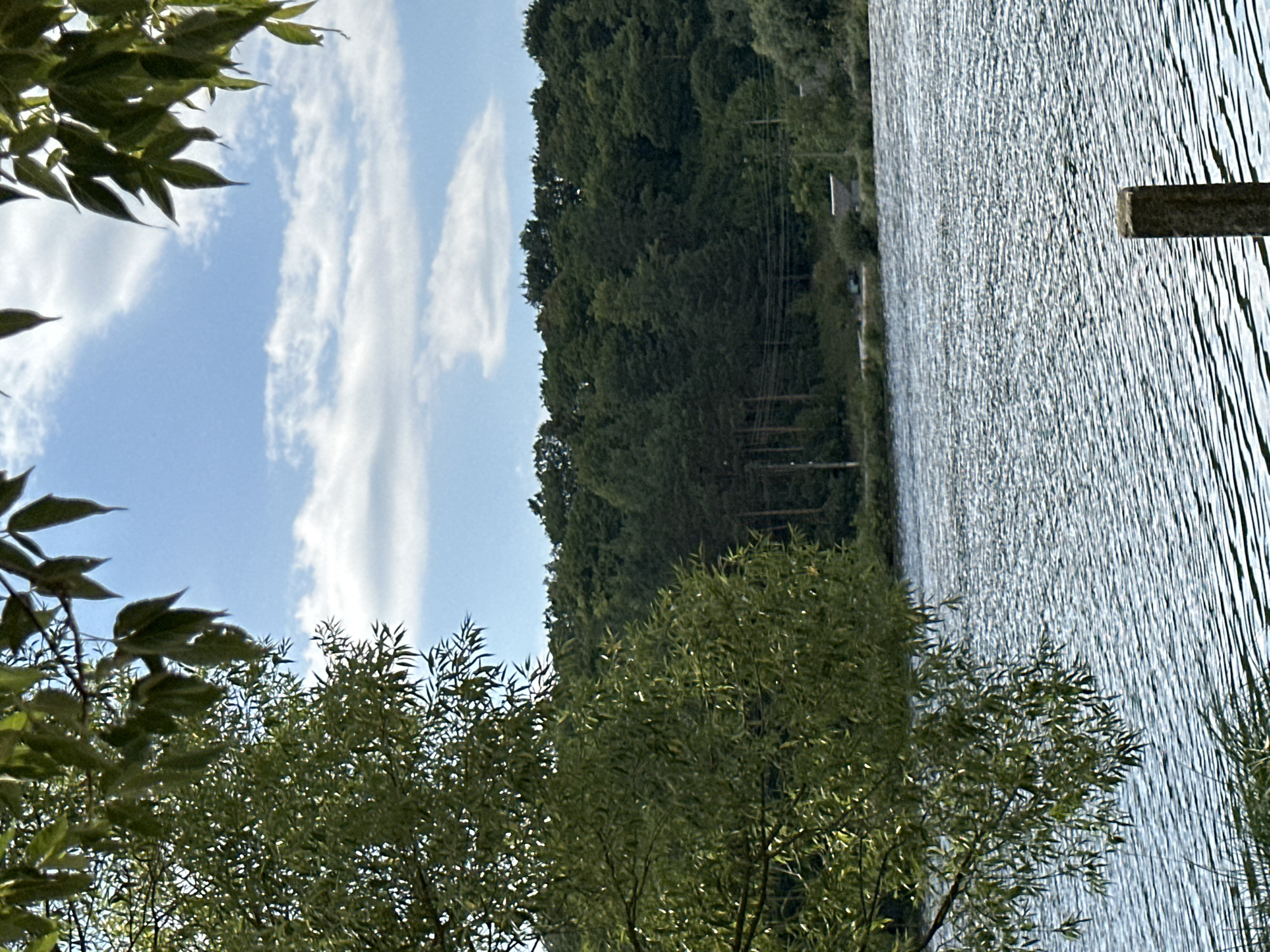 The image depicts a serene natural scene by the water, likely in Makiv, Ukraine, under a partly cloudy sky. In the foreground, a section of a leafy tree with green foliage is visible on the left side, extending from the top of the frame downwards. The tree's branches and leaves cast shadows and create a textured, organic border.
The middle ground is dominated by a wide body of shimmering water, with the surface reflecting the light and showing ripples, suggesting a gentle breeze. The water appears calm and expansive.
In the background, a dense line of dark green trees forms a forest canopy, stretching across the horizon. The trees are varied in shape and size, creating a rich, natural texture. Amidst the trees, and slightly lower on the right side, a small, light-colored building with a dark roof is discernible, along with some visible power lines and poles running horizontally. Further to the left, more trees are visible, some appearing as thinner, taller trunks suggesting a different type of forestation or a clearing within the woods.
The sky above is a bright blue, with scattered white clouds that are soft and elongated, adding depth to the scene. The overall impression is one of tranquility and natural beauty, characteristic of the Ukrainian countryside, potentially near Makiv. A simple, weathered, concrete post stands vertically in the foreground, partially submerged in the water on the right side, adding a solitary man-made element to the otherwise natural landscape.