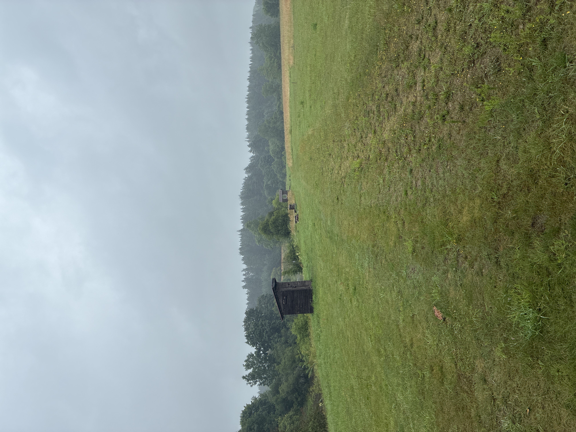 An outdoor, medium-shot, eye-level, full-frame photograph captures a rural landscape under an overcast sky in Sabile, Latvia. The foreground is dominated by a vibrant green, slightly uneven grassy field, with a distinct dirt path running diagonally from the lower right towards the center of the image. Scattered yellow wildflowers are visible within the grass. In the middle ground, to the left, stands a small, dark wooden outhouse with a sloped roof and a single door. Further into the field, a second, smaller wooden structure is visible, also with a sloped roof. The background features a dense, dark green forest that stretches across the horizon. The overall atmosphere is subdued due to the cloudy weather, suggesting a potentially damp or humid environment. No people are present in the image.