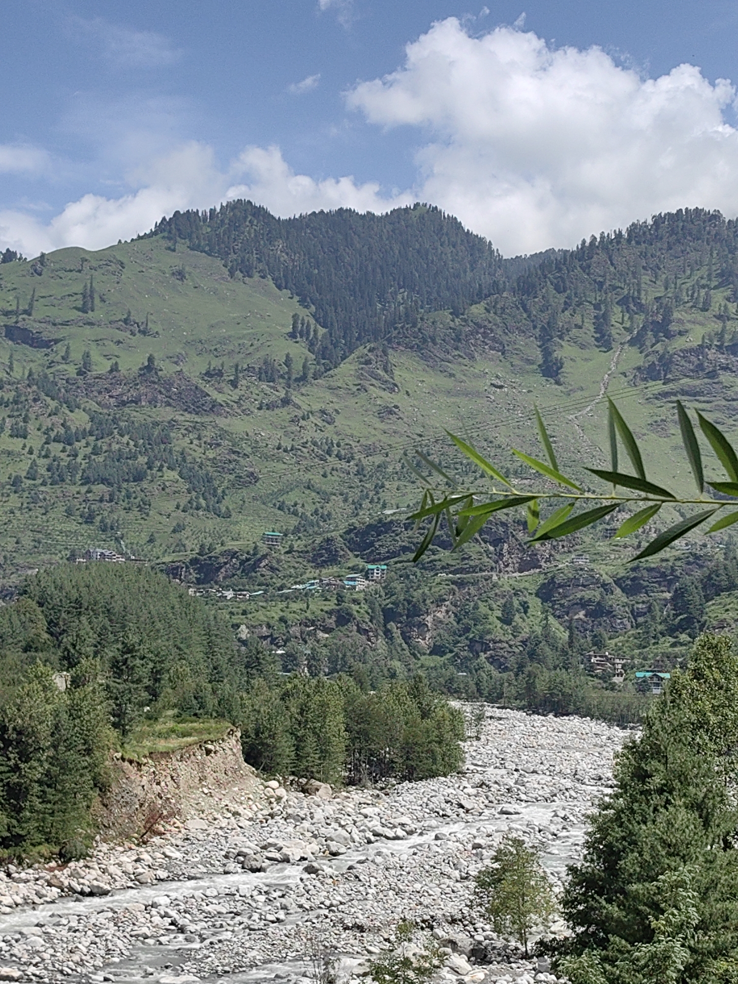 The image captures a scenic view of a mountainous landscape in Palchan, India, with a wide, rocky river flowing through a valley. The foreground features a rocky riverbed with flowing water, flanked by lush green trees and vegetation on the left bank. A steep, eroded embankment with exposed soil and rocks is visible on the left side of the river.
In the middle ground, a village or settlement is nestled on the slopes of the mountains. Several buildings with green roofs are scattered across the landscape, indicating human habitation. The mountains themselves are covered in dense green forests, with patches of exposed rock and uneven terrain. The upper slopes are carpeted with trees, creating a textured, layered effect.
The background is dominated by towering green mountains that stretch across the horizon. The sky above is a mix of blue with scattered white clouds. A branch with green leaves is visible in the upper right corner of the image, partially obscuring the view of the distant mountains. The overall scene depicts a natural, serene environment with a touch of human settlement integrated into the mountainous terrain.