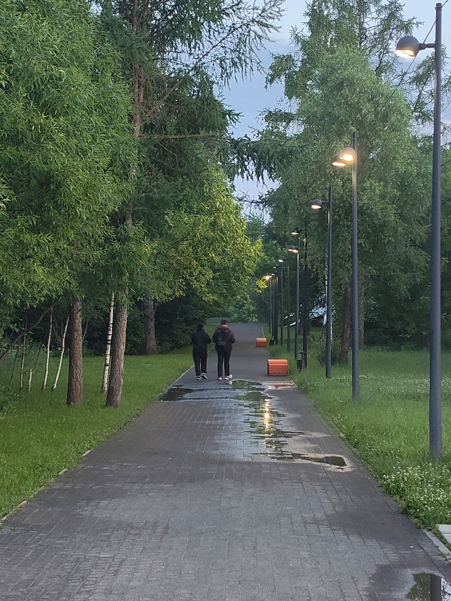 Two individuals are walking away from the camera on a wet, paved pathway in a park located in Chekhov, Russia. The pathway is lined on the left by trees with lush green foliage and on the right by a row of lampposts, some of which are illuminated. The sky is overcast. Orange benches are visible alongside the pathway. The ground is wet, with puddles reflecting the light from the lampposts. The scene appears to be a park area or a tree-lined walkway in a public space.