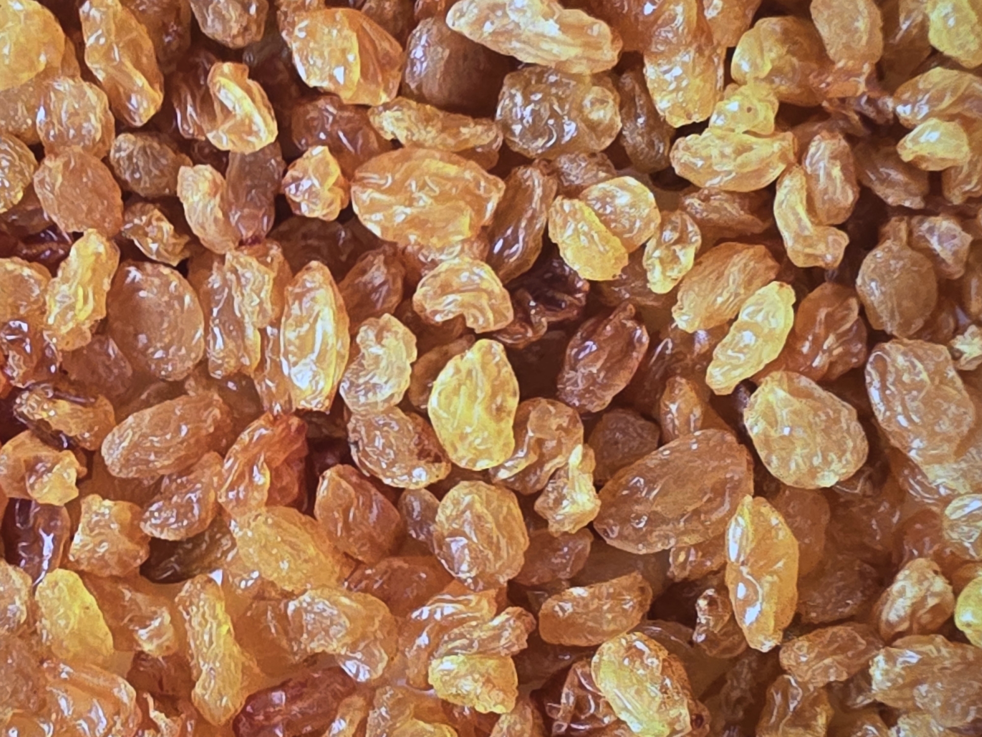 The image displays a tightly packed, overhead view of numerous golden raisins. The raisins vary slightly in color, ranging from a bright golden yellow to a deeper amber brown, and exhibit translucent, wrinkled textures. Some are oval-shaped, while others are more elongated or irregular. The lighting highlights the sheen of the dried fruit, suggesting a close-up shot with diffused illumination. There is no indication of any specific location within the city of Voluntari, Romania, or any people, actions, or interactions. The scene is purely a still life composition of dried fruit.