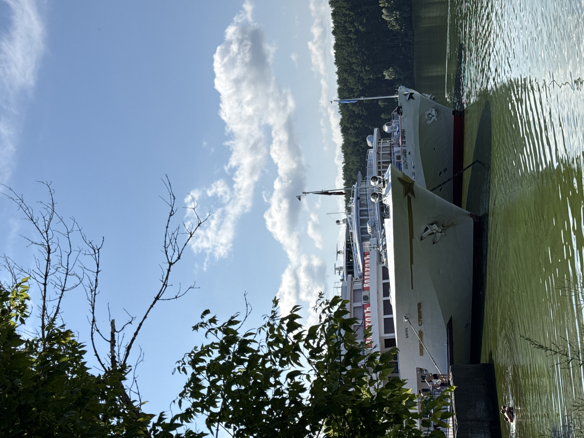 This is an outdoor, medium-shot, eye-level photograph taken on a sunny day, showing two large passenger ships docked on a body of water. The ships are white with red trim and have red lettering on their sides. The ship in the foreground has the name "АЛЕКСАНДР СУВОРОВ" written in gold lettering. The ship behind it has the name "ЮРИЙ ГАГАРИН" written in gold lettering. Both ships have anchors visible at their prows. Several people are visible on the dock to the left of the foreground ship, and a few people are in the water swimming. The water is green and calm, with ripples on the surface. A dense forest is visible in the background on the far bank of the water. The sky is blue with scattered white clouds. The lower left corner of the image is partially obscured by the leaves and branches of a tree. The image was taken in the city of Chaikovsky, Russia, likely on the Kama River.
