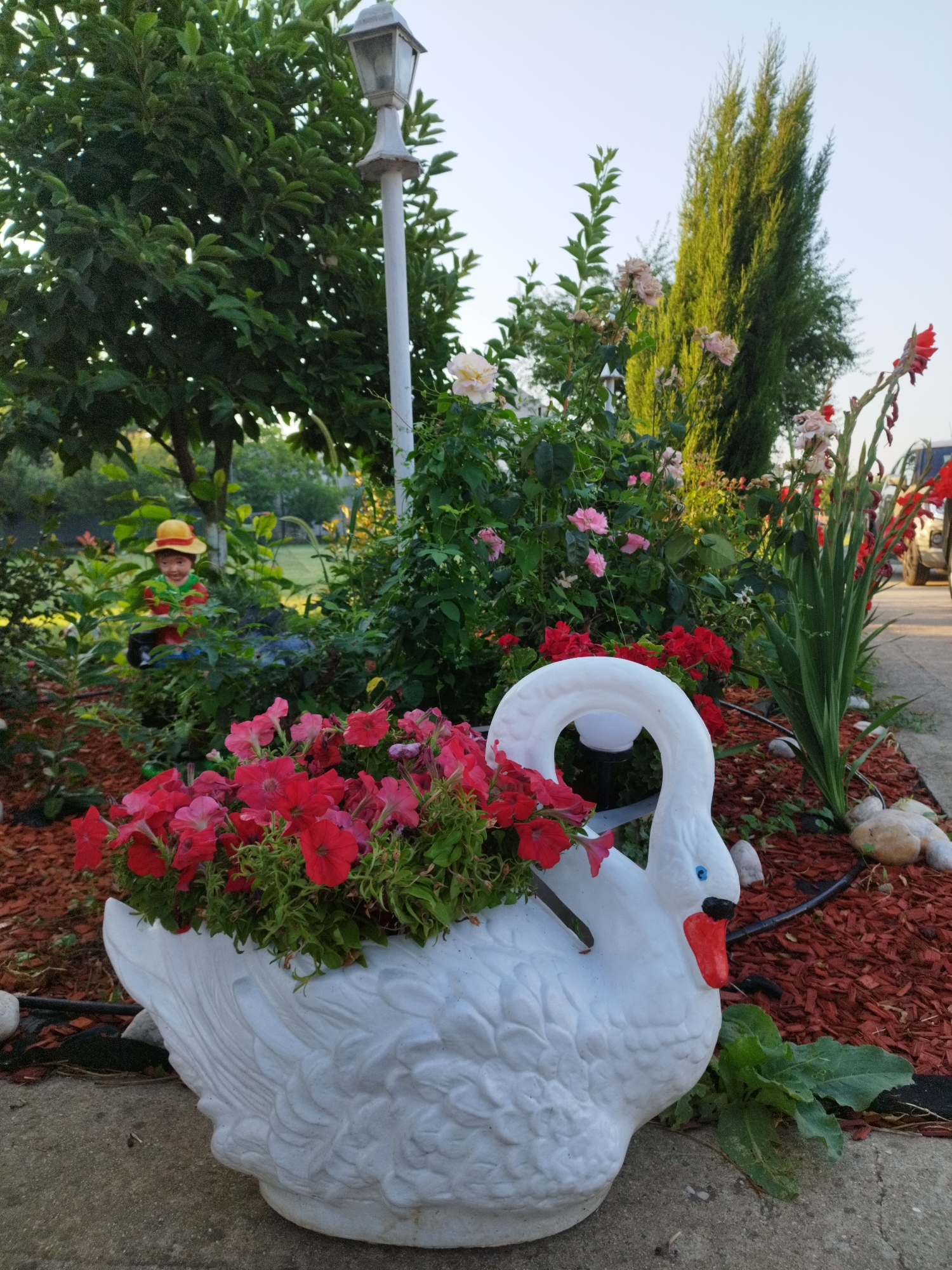 A white swan-shaped planter filled with red petunias sits on a concrete pathway in front of a garden. The garden features a variety of plants, including roses, gladiolus, and a tall evergreen tree. A garden lamp post stands behind the planter, and a small statue of a child wearing a yellow hat is visible amongst the greenery. The ground is covered with reddish-brown mulch. The scene appears to be a residential garden in Bucharest, Romania, possibly taken on a sunny day.
