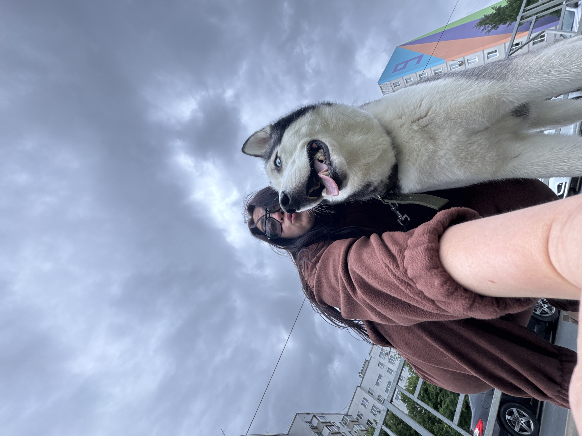A person with long, dark hair and glasses is holding a husky dog. The dog is white and gray with blue eyes and is looking at the camera with its mouth open and tongue sticking out. The person is wearing a brown sweatshirt. The photo is taken from a low angle, looking up at the person and the dog. In the background, there is a cloudy sky and buildings, including one with a painted triangle design on its roof. There is a car visible near the bottom of the frame.