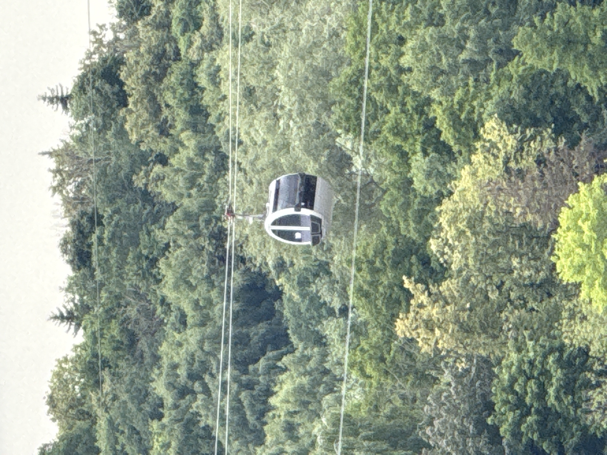 A gondola car travels through a dense forest, set against a bright, overcast sky. The gondola itself is predominantly white with black windows and accents. It is suspended by cables, two of which are prominently visible in the foreground, running vertically through the frame. The surrounding environment is a lush expanse of green trees, suggesting a natural setting such as a park or forest. The lighting indicates it is daytime, with the overcast conditions diffusing the light. The scene appears tranquil, with the focus on the movement of the gondola through the verdant landscape. There is no visible text in the image. The image's orientation is portrait, with the scene appearing to be viewed from above or a slightly elevated position.