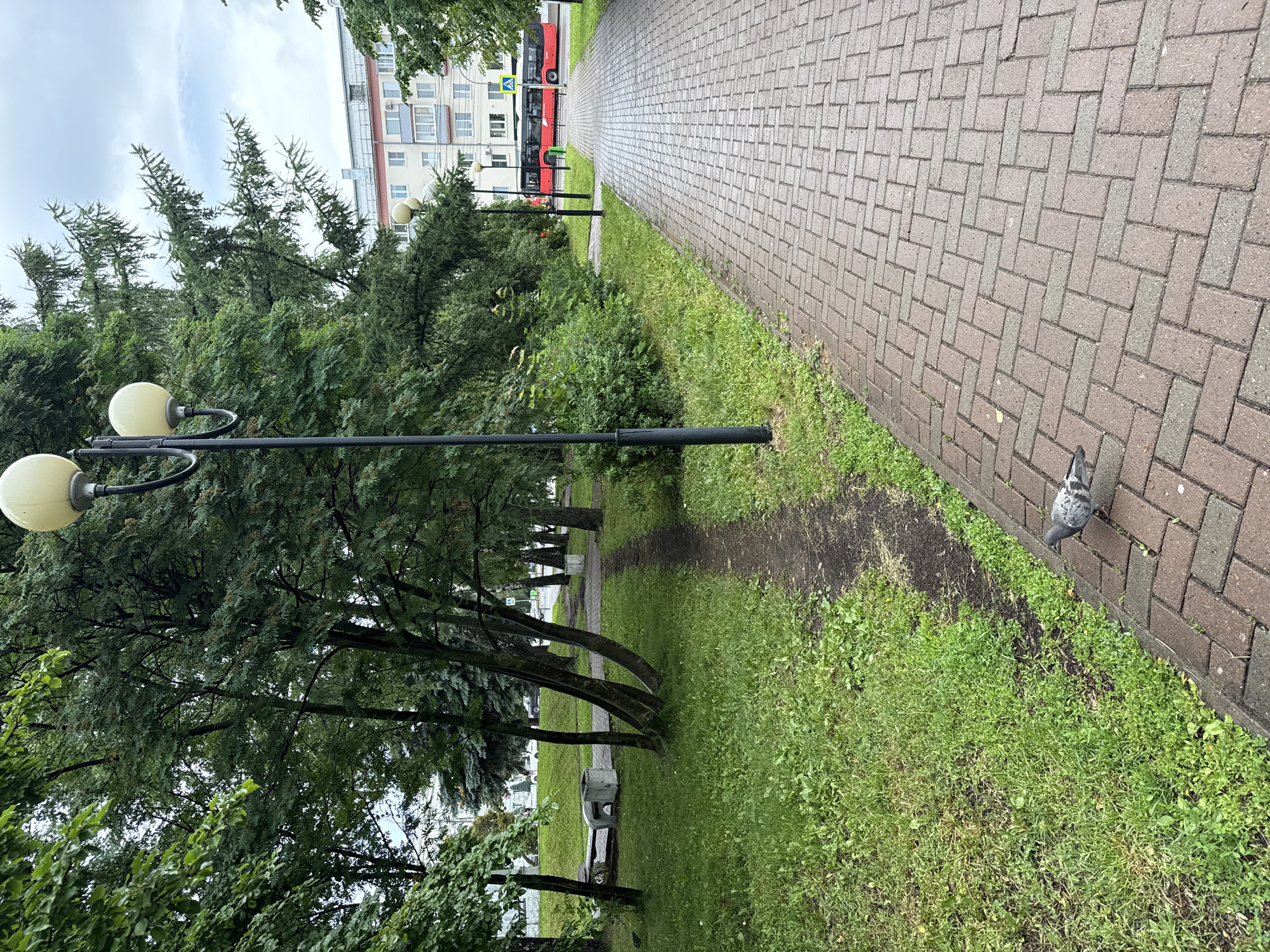 An outdoor, eye-level shot captures a paved walkway in Izhevsk, Russia, on a cloudy day. The walkway, made of red and gray brick pavers laid in a herringbone pattern, stretches into the distance. To the left of the walkway, a patch of lush green grass is visible, punctuated by trees with dense foliage. A single pigeon stands on the walkway in the foreground, facing left. Further down the walkway, a street lamp with two spherical lights stands tall. Beyond the trees and the walkway, a multi-story building with a light-colored facade and pink accents can be seen. A red bus is stopped near the building on a road, indicating a public transportation route. A yellow pedestrian crossing sign is also visible near the bus. The overall atmosphere is serene and somewhat subdued due to the overcast sky.