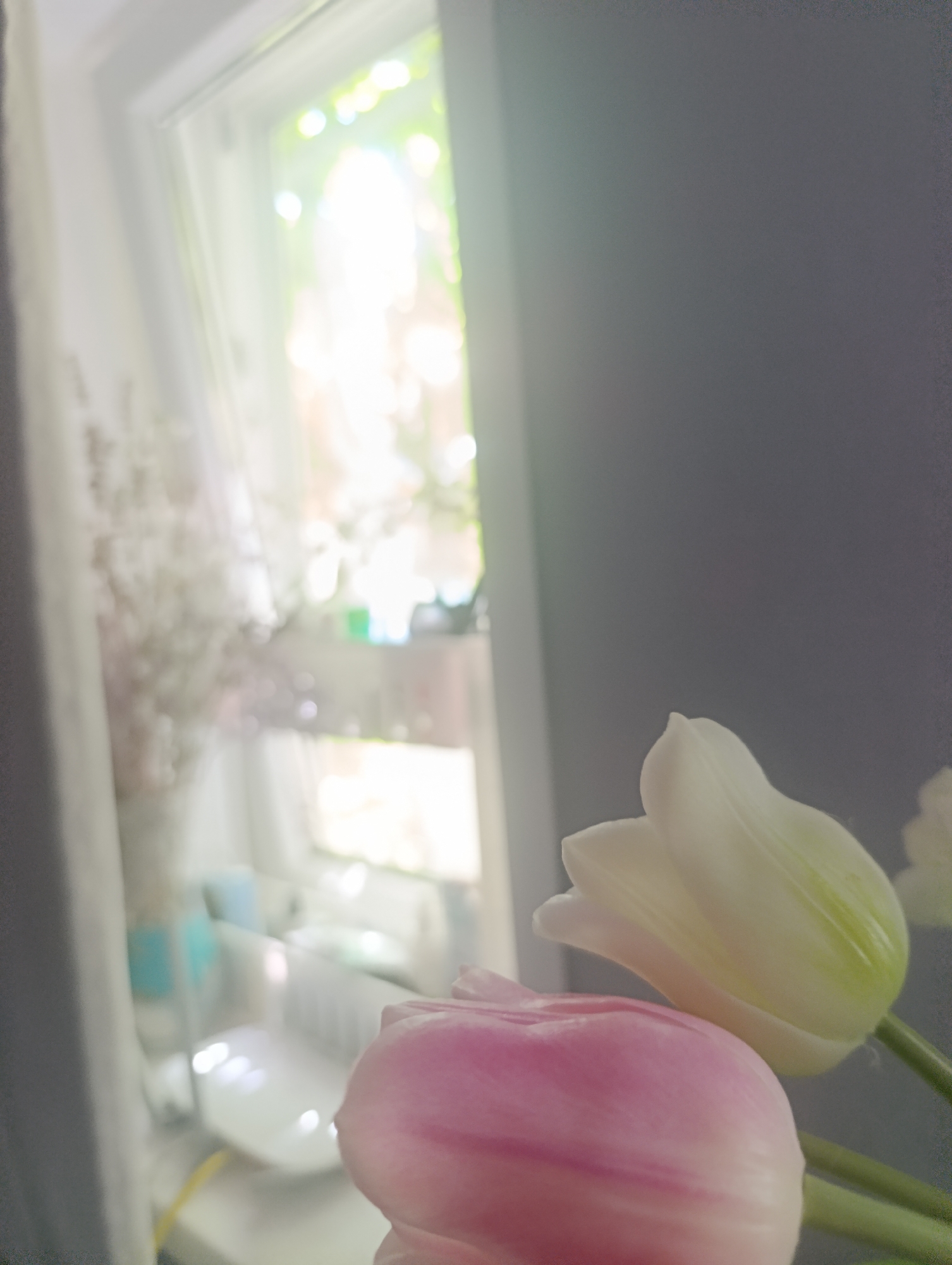 The image shows a close-up of two tulips, one pink and one white, in the foreground. The pink tulip is in focus and appears to be partially closed, while the white tulip is slightly out of focus. In the background, there is a blurred view of a window with sunlight streaming through, casting a soft glow on the scene. A vase with delicate white flowers is visible to the left of the window, and on the windowsill, a white object with a yellow wire is present. The overall impression is one of a bright and airy indoor setting, possibly a home or a studio, with natural light enhancing the beauty of the flowers. There are no people or animals visible in the image. The location is not specified in the image itself.