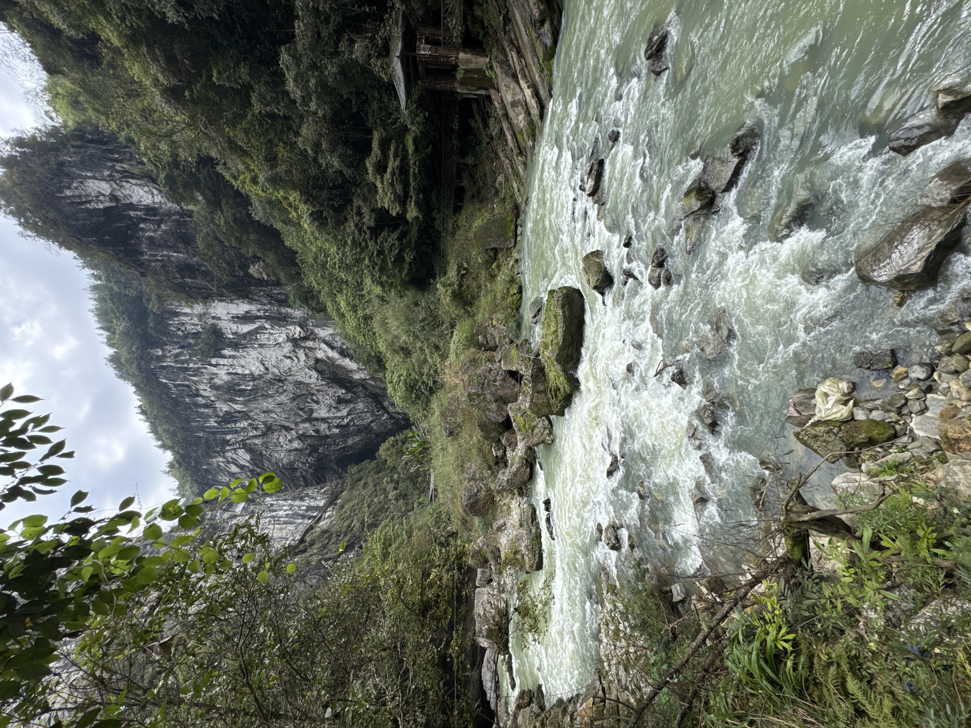 The image captures a river flowing through a gorge in Zhuoshui, China. The river is turbulent with white water cascading over rocks. The gorge walls are steep and covered in vegetation, including trees and moss. A large rock formation is visible on the left side of the image, its surface marked with distinct striations. There is some sky visible above the rock formation. In the foreground, foliage obscures some of the view, giving a sense of being near the edge of the riverbank. The image is oriented with the horizon appearing vertical, lending a disorienting perspective.