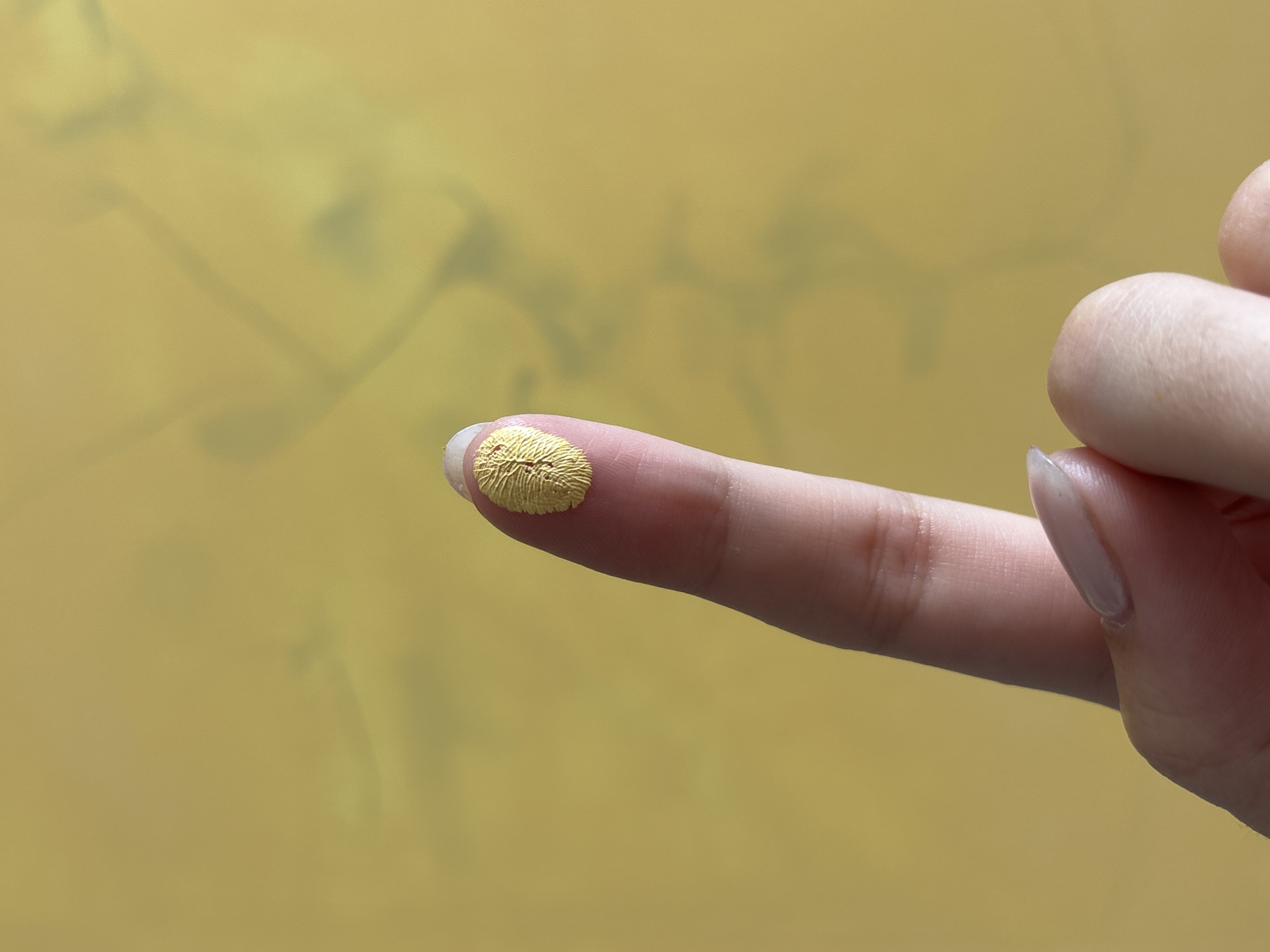 A close-up shot shows a person's index finger with a blob of yellow material on the fingertip, possibly foundation or concealer. The finger is extended horizontally across the frame. The background is a slightly blurred, solid yellow color. The rest of the hand is visible at the right edge of the frame. The nail on the index finger has a natural, polished appearance. The skin on the finger appears smooth with subtle wrinkles. The yellow material has a textured appearance with visible ridges and patterns. There is no indication this photo was taken in Krasnoyarsk, Russia.