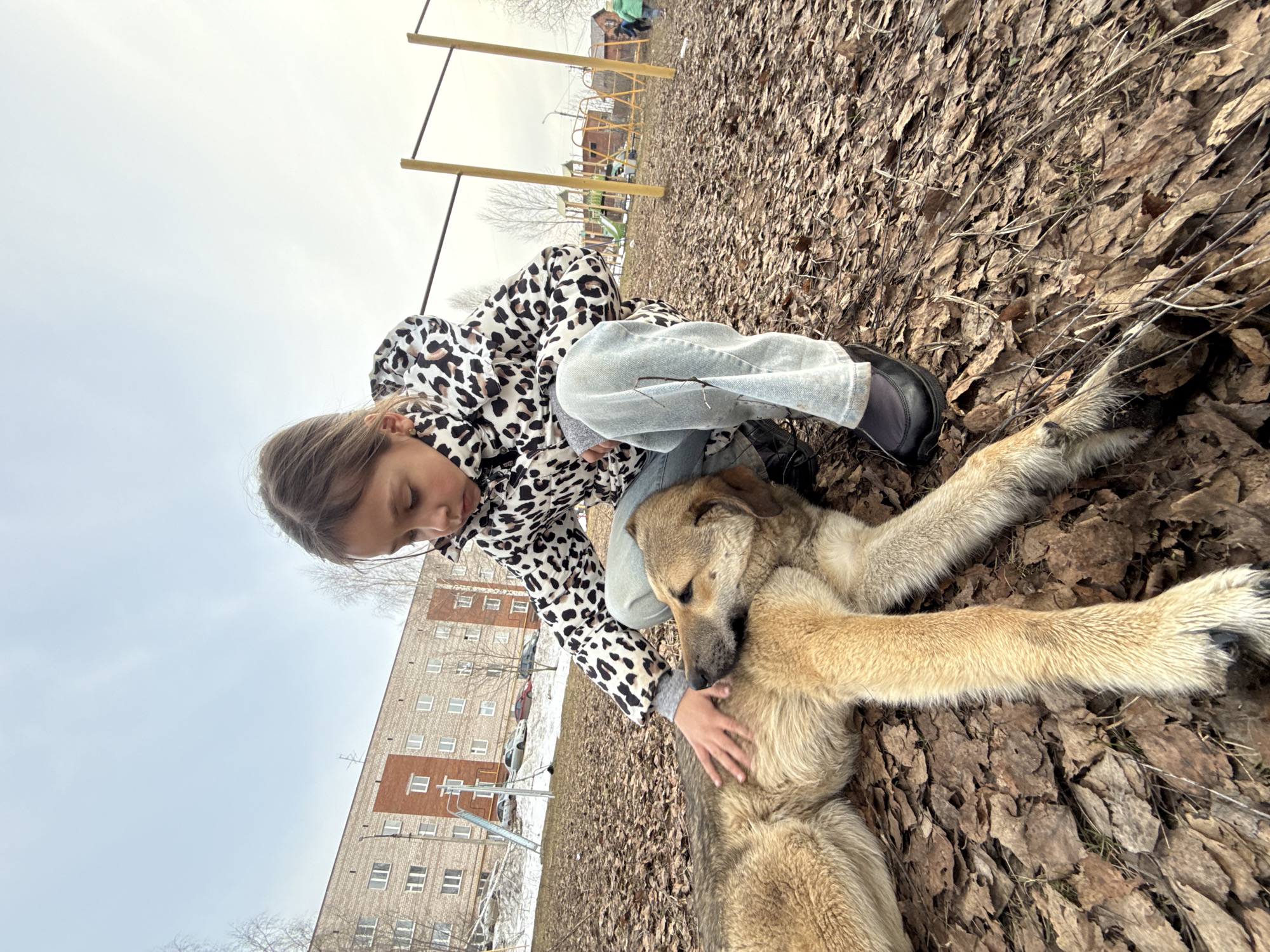 A young girl is crouching down on a bed of fallen leaves, petting a large, tan dog that is lying on its side. The girl is wearing a white and black animal-print jacket, blue jeans, and black shoes. Behind them is a multi-story brick apartment building. Further in the background is a playground with yellow and green equipment. The sky is overcast. This scene is very likely located in Votkinsk, Russia, based on the typical Soviet-era apartment building design and outdoor playground.