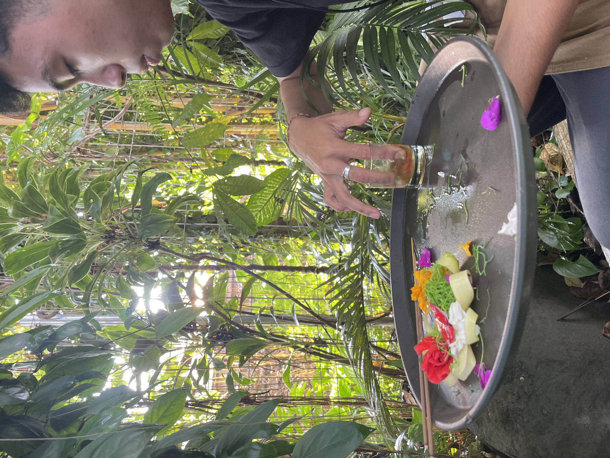 A person is holding a tray with various items on it, including flowers, other plant materials, and a small glass of liquid. The tray appears to have some moisture on its surface. The person is outdoors, surrounded by lush greenery. The scene is brightly lit by sunlight filtering through the foliage. The location is Unknown, Unknown.