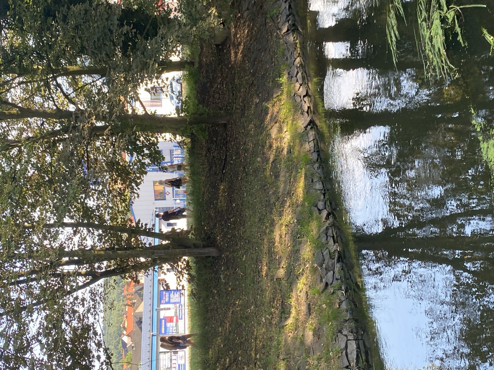 The image shows a treelined canal in Bílina, Czechia. On the opposite bank of the canal, there is a grassy slope with several people walking. Behind them, there are buildings with signs, including one that says "HERMANN". A white car is parked in front of one of the buildings. The canal reflects the trees and sky. The image appears to have been taken in the late afternoon, as indicated by the warm sunlight filtering through the leaves of the trees.