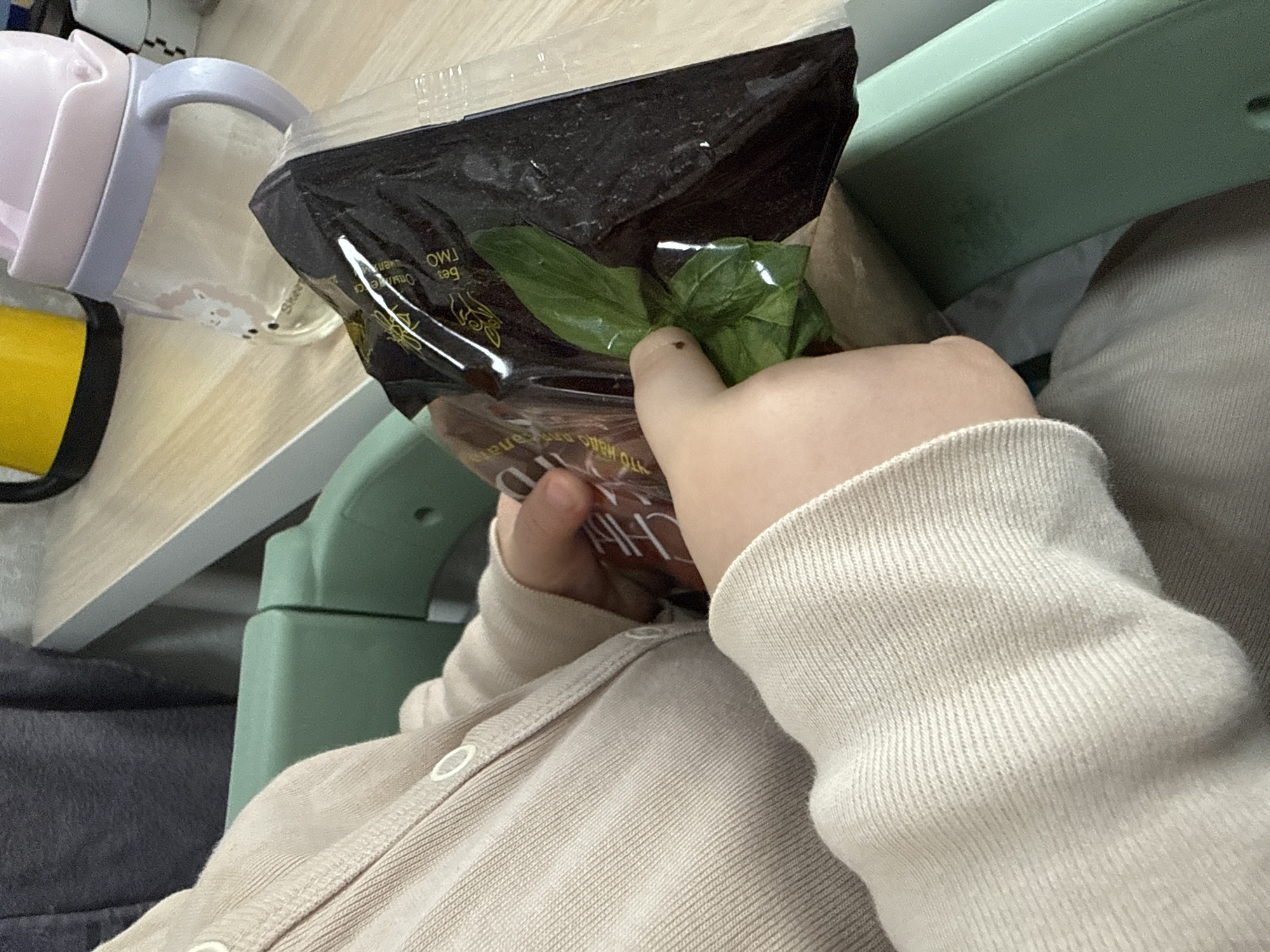 The image captures a close-up, high-angle view of a person, likely a child, holding a dark plastic bag containing fresh green basil leaves. The person's hands are visible, with one finger gently pressing against the basil through the clear part of the bag. They are wearing a light beige or cream-colored, ribbed long-sleeved top or cardigan with small white snap buttons.
The setting appears to be indoors, possibly at a table or in a high chair. A light wooden surface is visible to the left, on which a pink and light purple sippy cup with a handle rests. A yellow object is partially visible next to the cup. In the background, a light green structure, possibly part of a chair or table, is seen. A dark grey or black fabric, potentially clothing or a blanket, is also present.
Visible text on the plastic bag includes "OWJ" (possibly inverted) and "Без ГМО" (Bez GMO), which translates from Russian as "GMO-free." This detail is consistent with the provided location context of Moscow, Russia. The activity depicted is a simple interaction with a food item. The time of day and any specific emotions are not discernible.