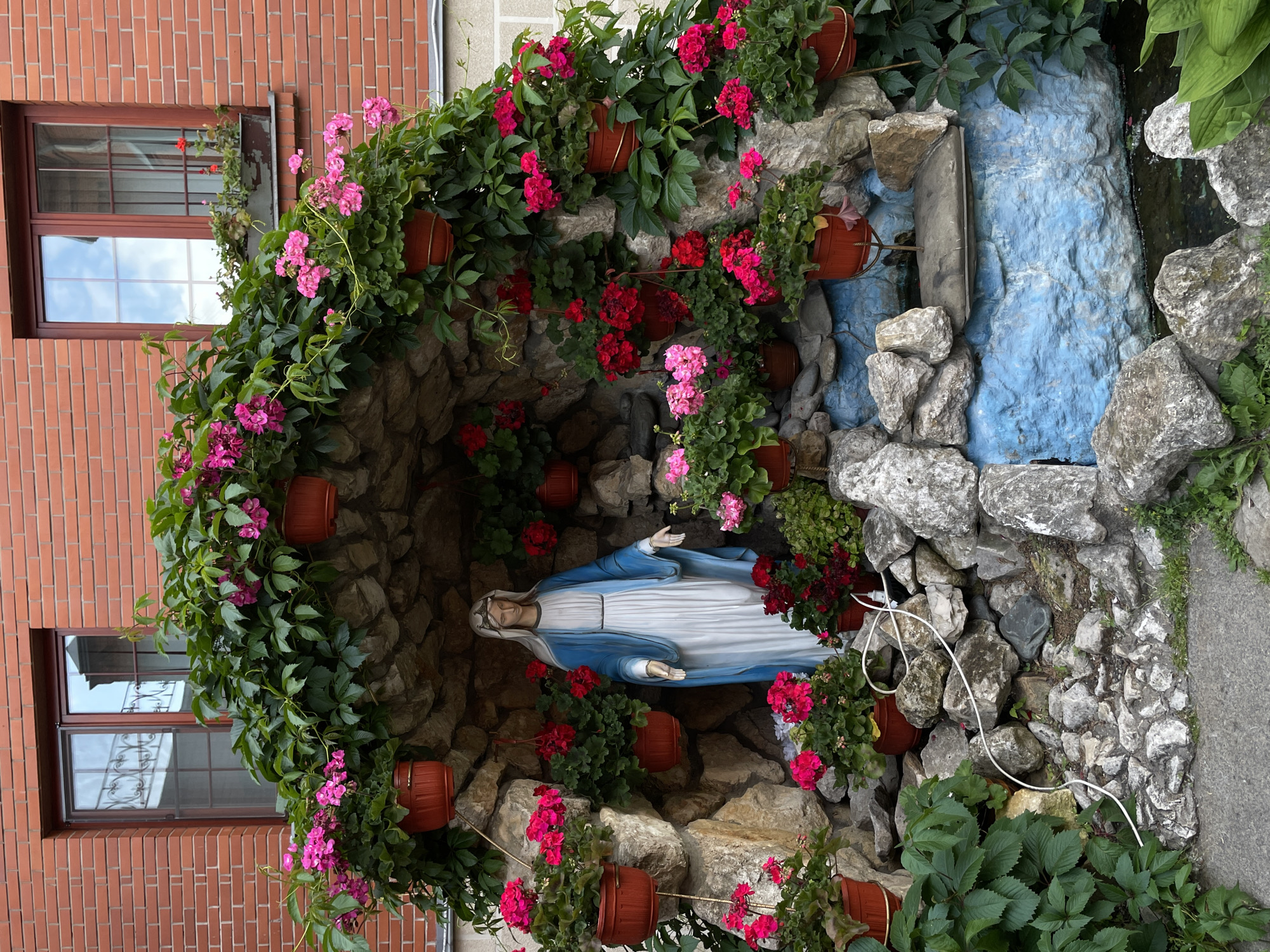 The image shows a statue of the Virgin Mary in a grotto decorated with flowers and rocks. The grotto is built into a brick wall, and there are two windows above it. The statue is wearing a blue robe and a white dress. She has her arms outstretched. The grotto is filled with potted plants, including geraniums and ivy. There is also a small pool of water at the bottom of the grotto. The overall scene is one of religious devotion and natural beauty.