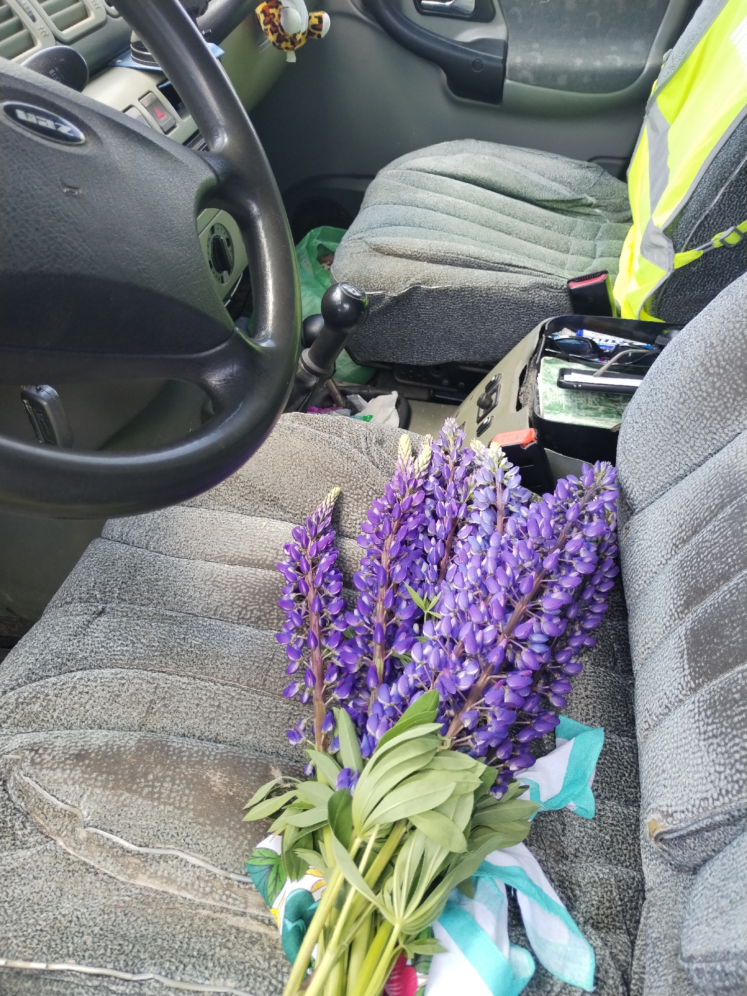 A bouquet of purple lupine flowers rests on the passenger seat of a vehicle. The interior of the car appears aged and worn, with visible fabric wear on the seats. A steering wheel, gear shift, and a reflective vest are also present in the cabin, suggesting the vehicle is in use. The scene is captured from a slightly elevated angle, looking down into the car.
