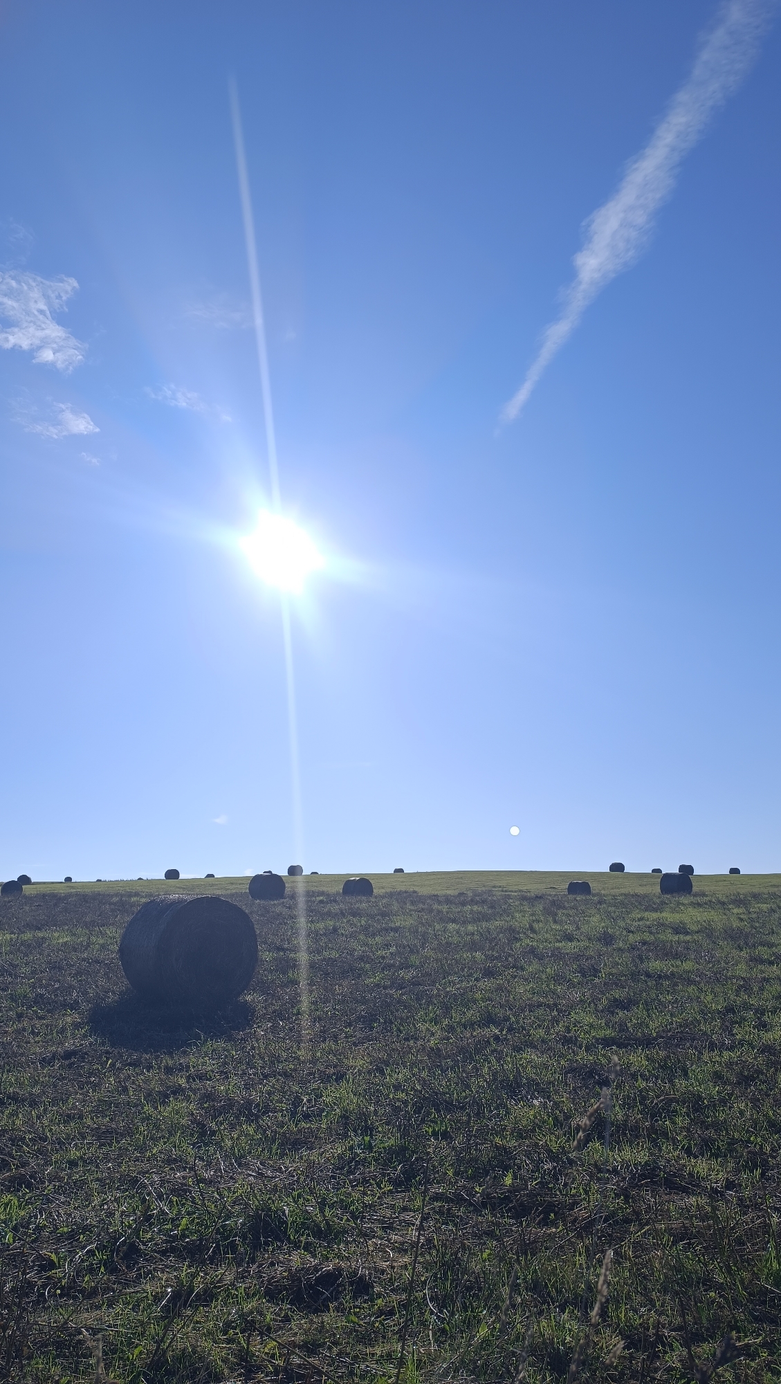 The image depicts a wide, open field under a bright, clear blue sky with the sun shining intensely and casting long light rays. Numerous round bales of hay are scattered across the gently rolling terrain, appearing dark and silhouetted against the green and brown grass. A thin, wispy cloud streaks across the upper right portion of the sky, and a small, pale circular object, possibly the moon or another atmospheric phenomenon, is visible in the distance. The foreground shows dry, matted grass and straw, suggesting a harvested field. There are no people or animals visible in the frame. The scene is set in a rural or agricultural environment.