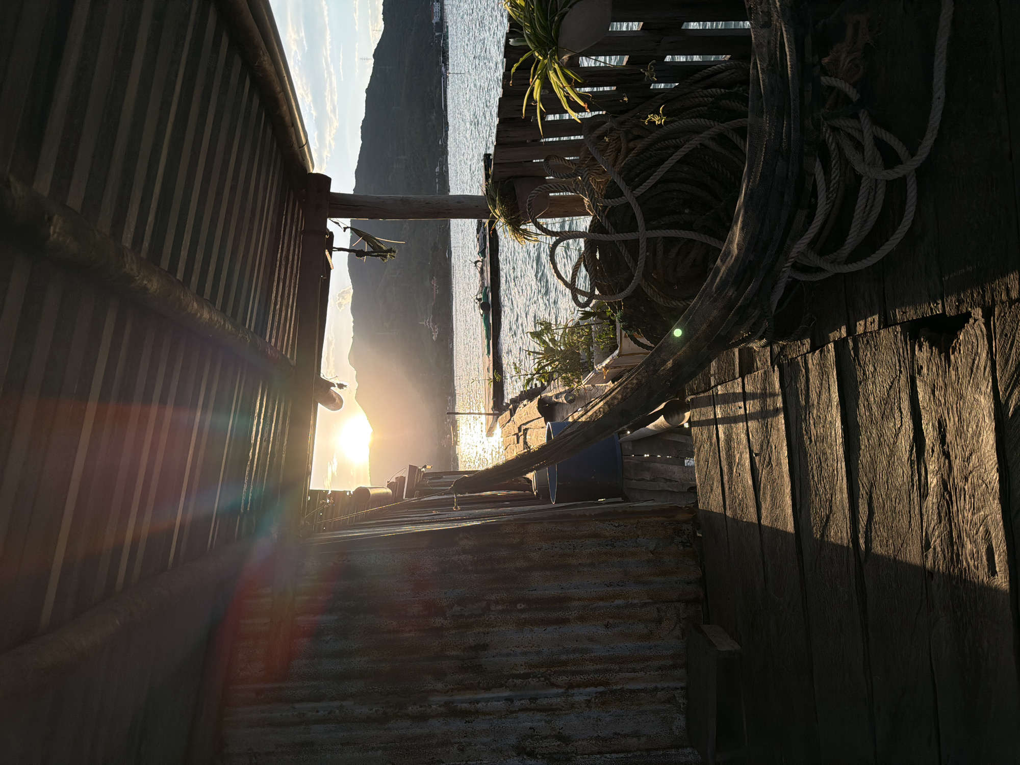 The image depicts a scene at Bac Nha Trang Ward, Vietnam, during sunrise or sunset. The perspective is from a rustic, possibly waterfront structure made of weathered wood and corrugated metal. The sun, partially obscured by a mountain in the distance, reflects intensely on the water's surface. To the right, there's a wooden structure with rope coiled on it, along with plants in pots. To the left, there's a corrugated metal wall. The scene gives the impression of being on or near the water, with the land visible in the background.