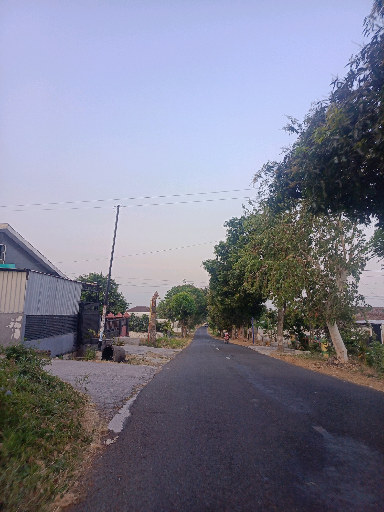 The image depicts a paved road in Nitikan, Indonesia, flanked by houses and trees. The sky is clear and pale blue, suggesting it is either early morning or late afternoon. On the left side of the road, a modern house with grey and white siding is visible, bordered by a fence and overgrown vegetation. A utility pole stands near the house, with power lines stretching across the frame. Further down the road, a person on a motorcycle is traveling away from the viewer. The right side of the road features more houses and a dense line of trees, with some appearing to be fruit trees. The road itself is dark asphalt with a white line marking the edge. There are no other people or vehicles clearly visible in the scene besides the lone motorcyclist. The overall impression is a quiet, semi-rural road in a tropical or subtropical climate.
