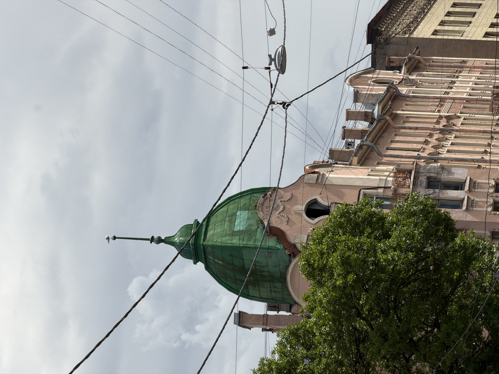 The image captures a view of buildings in Saint Petersburg, Russia, with a prominent green domed structure in the center. The domed building features decorative elements and appears to be an older architectural style. A seagull is perched on the very top of the dome's spire. In the foreground, a large, lush green tree partially obscures the lower portion of the buildings. Numerous electrical wires crisscross the frame, suggesting an urban environment. The sky is overcast with some clouds. To the right of the central domed building, a row of multi-story buildings with ornate facades and numerous windows is visible. Another building, lighter in color, is visible further to the right. The overall impression is that of a historic city district on a cloudy day.