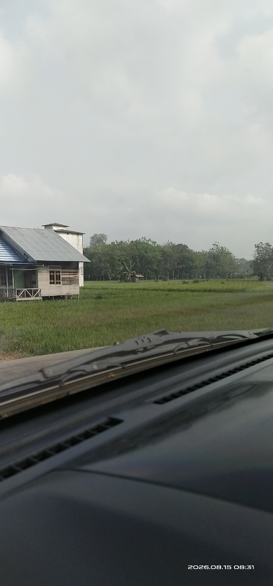 An exterior, daytime, eye-level, wide shot captures a rural landscape under an overcast sky. A small, weathered wooden house with a blue-roofed extension sits on stilts in the foreground to the left, adjacent to a larger, modern concrete structure. The house has a single visible window with a grid pattern. Beyond the house is a vast, green field of what appears to be rice paddies. A line of dense trees borders the field in the midground, with a small, rustic hut nestled among them. The foreground of the image is dominated by the dashboard and windshield wipers of a vehicle, suggesting the photo was taken from inside a car. The timestamp "2026.08.15 08:31" is visible in the lower right corner.