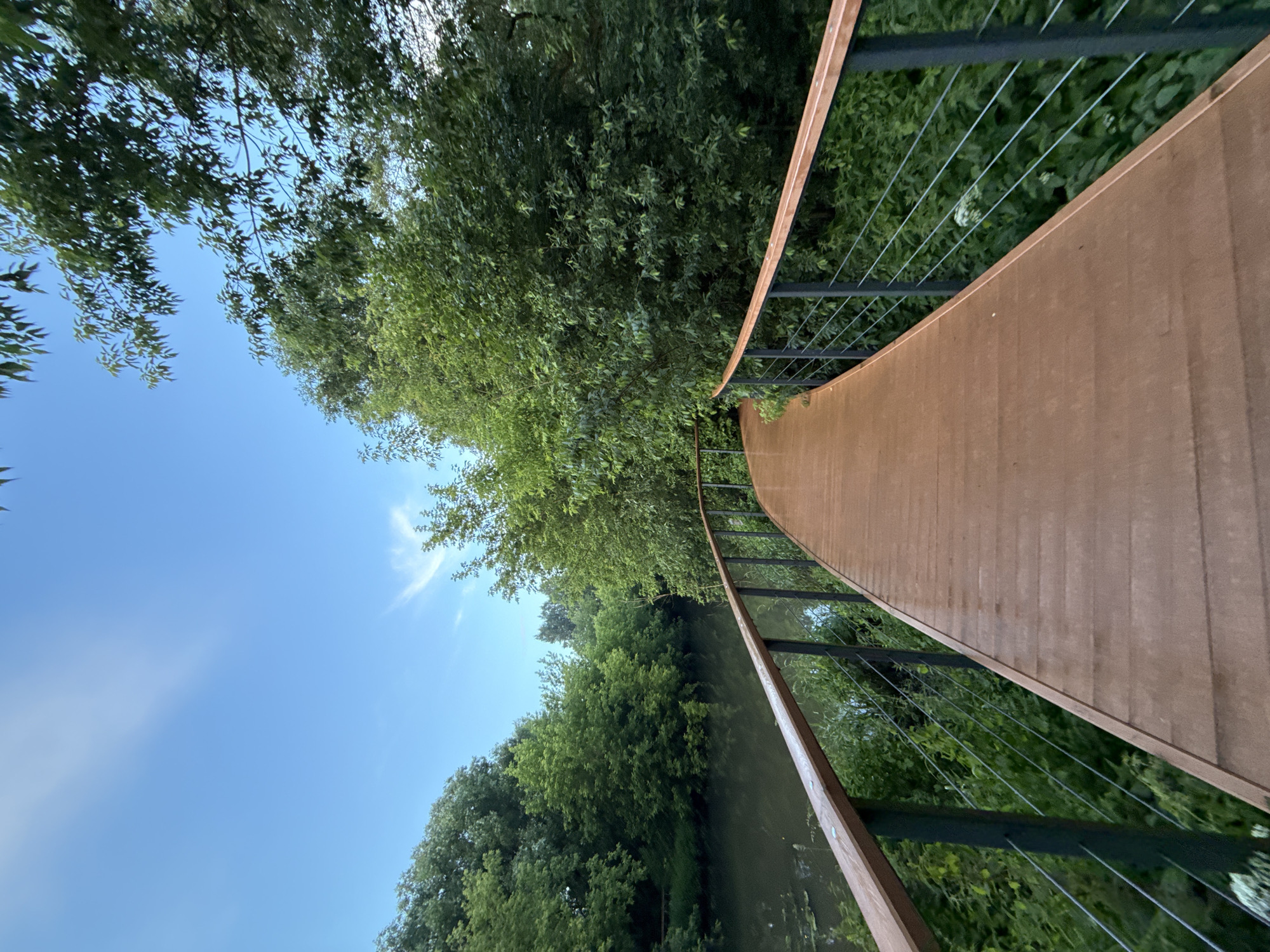 A wooden boardwalk curves to the right, bordered by a metal railing with a wooden handrail. The boardwalk is wet, suggesting recent rain. To the left of the boardwalk is a calm, dark body of water, likely a canal or river, reflecting the sky and surrounding greenery. Dense green trees and foliage line the water's edge and extend into the background, creating a lush, natural environment. The sky above is a clear blue with a few wispy white clouds. The scene appears to be a park or recreational area. This scene is located in the Serebryany Bor park in Moscow, Russia, a protected natural reserve known for its forests, beaches, and recreational pathways. There are no people or animals visible in the image.