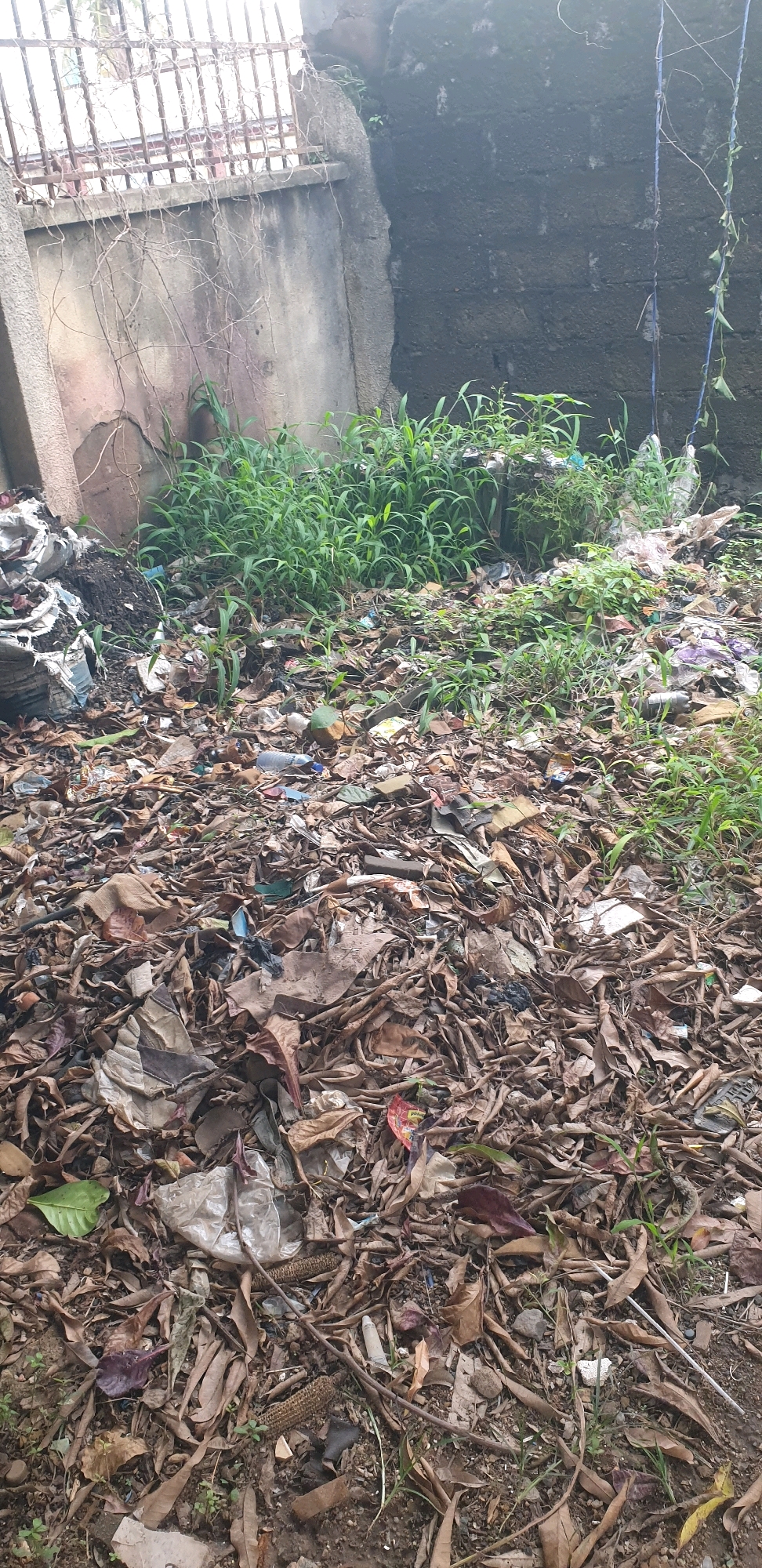 A street scene in Sabon Tasha, Nigeria shows a pile of refuse in front of a concrete wall. The refuse consists of dry leaves, plastic bottles, and other debris. Some green grass is growing through the refuse, and a rusty metal fence is visible in the background. A blue wire hangs down the right side of the image.