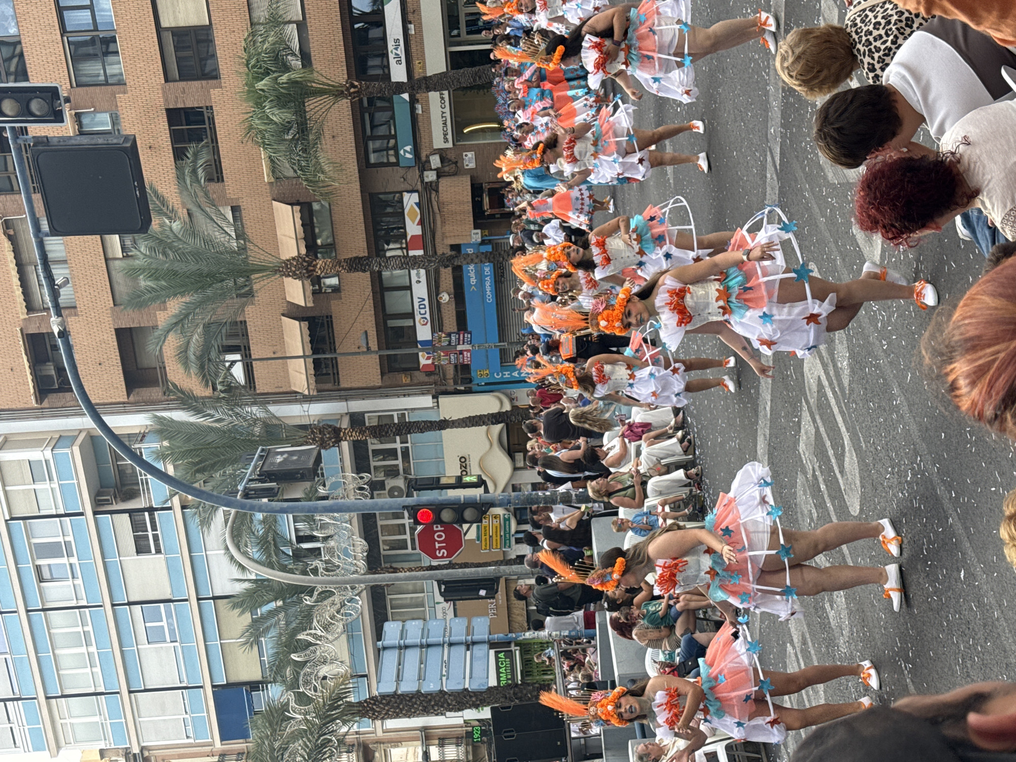 The image depicts a daytime outdoor parade or carnival taking place on an urban street in Alicante, Spain.
In the foreground and midground, a group of approximately 15-20 women, primarily young adults, are performing or marching. They wear elaborate, matching carnival costumes consisting of white corsets or bodices adorned with orange and blue floral elements, white frilly skirts featuring an underlying hoop structure decorated with orange and blue star cutouts, and orange feathered headpieces. Many performers have light blue face paint on their cheeks. They are walking on an asphalt road, which is scattered with white confetti.
On either side of the road, spectators line the sidewalks, some sitting on white plastic chairs, observing the procession. These individuals are dressed in varied casual attire.
The background features multi-story urban buildings. On the left, a light blue and white building with multiple windows and balconies is visible. On the right, several brown brick or tiled buildings with numerous windows and awnings are present. Commercial signage for various businesses such as "CDV," "albel," "SPECIALTY COFFEE," "Altrais," "FARMACIA," and "Ozo" is visible on the building facades. A street sign indicates directions to "Estación RENFE" (train station) and "Plaza Luceros," confirming the location as Alicante, Spain. Tall palm trees are interspersed along the street, alongside streetlights and decorative white festive lights strung overhead. A red traffic light and a "STOP" sign are prominently displayed above the street.