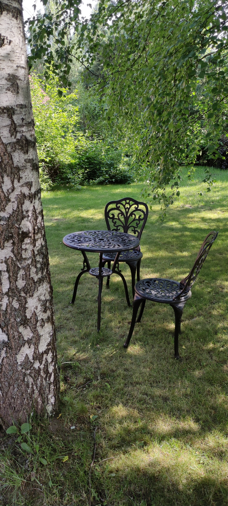 A black, ornate metal bistro table with two matching chairs is situated on a lush green lawn in a shaded garden area. The table is round with a decorative, openwork top, and stands on three legs. One chair is positioned to the left of the table, and another is to the right and slightly behind it, angled away from the viewer. Both chairs have intricately designed backs and legs. In the foreground to the left, a portion of a large birch tree trunk with its distinctive white and dark bark is visible. The background consists of dense, green foliage, suggesting a natural or park-like setting. The lighting indicates it is daytime, with dappled sunlight filtering through the leaves overhead. The scene is tranquil and appears to be located in a garden or outdoor seating area in Rosinka, Russia. There are no people present in the image.