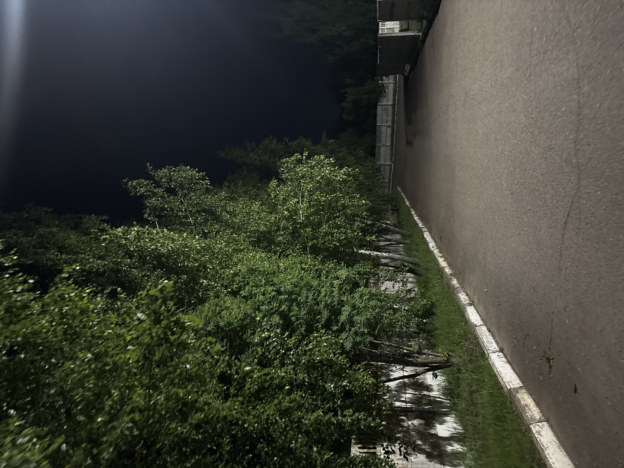 The image depicts an outdoor night scene, featuring lush green foliage under a dark sky. The original image is rotated 90 degrees clockwise. When viewed with correct orientation, a strong, vertical beam of artificial light cuts through the dark sky in the upper left quadrant. The left and central areas of the frame are dominated by dense, vibrant green trees and bushes, illuminated by unseen light sources, casting shadows and highlighting the texture of the leaves.
To the right, a paved asphalt road or path extends from the foreground into the background. This road is bordered by a distinct white concrete curb, beyond which lies a narrow strip of grass before meeting the extensive green foliage. Further in the background, past the road and partially obscured by trees, a building structure with balconies or windows is faintly visible, suggesting an urban or suburban setting.
No people or animals are present, and no specific activity is taking place. The scene conveys a sense of stillness and quiet. The time of day is clearly night, characterized by the dark sky and the reliance on artificial lighting. The weather appears clear. No visible text is present in the image.