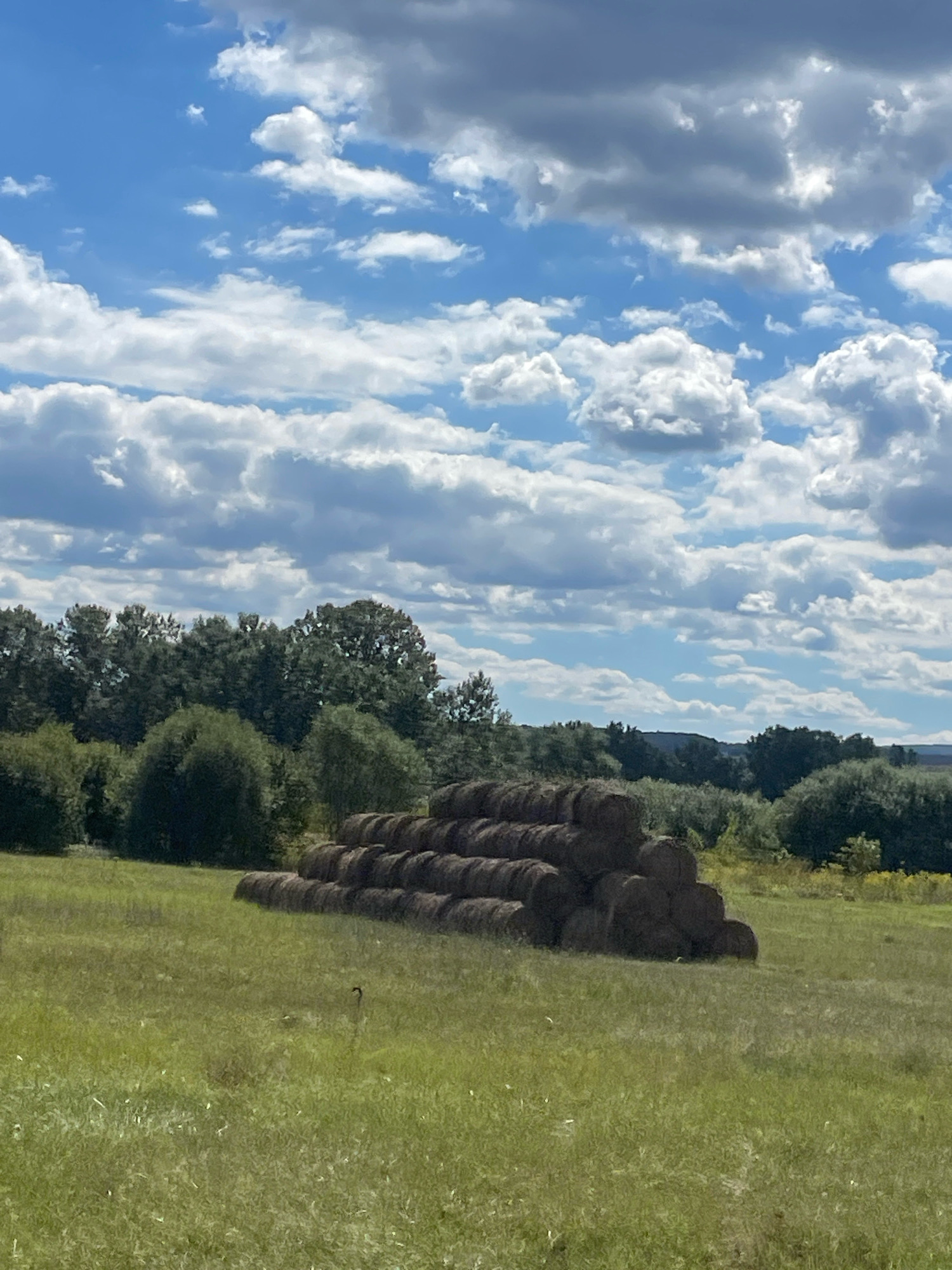 The image shows a rural scene, likely in Goryachiy Klyuch, Russia, under a partly cloudy sky. In the foreground, a vast green meadow stretches across the frame, with patches of dry grass and sparse wildflowers. A prominent, large stack of round hay bales is positioned in the middle ground, arranged in a tiered pyramid shape. Behind the hay bales, a dense line of green trees forms the treeline, with various shades of green indicating different types of foliage. The background reveals rolling hills covered in more trees, fading into the distance. The sky above is a bright blue, interspersed with fluffy white and darker gray clouds. No people are visible in the image.