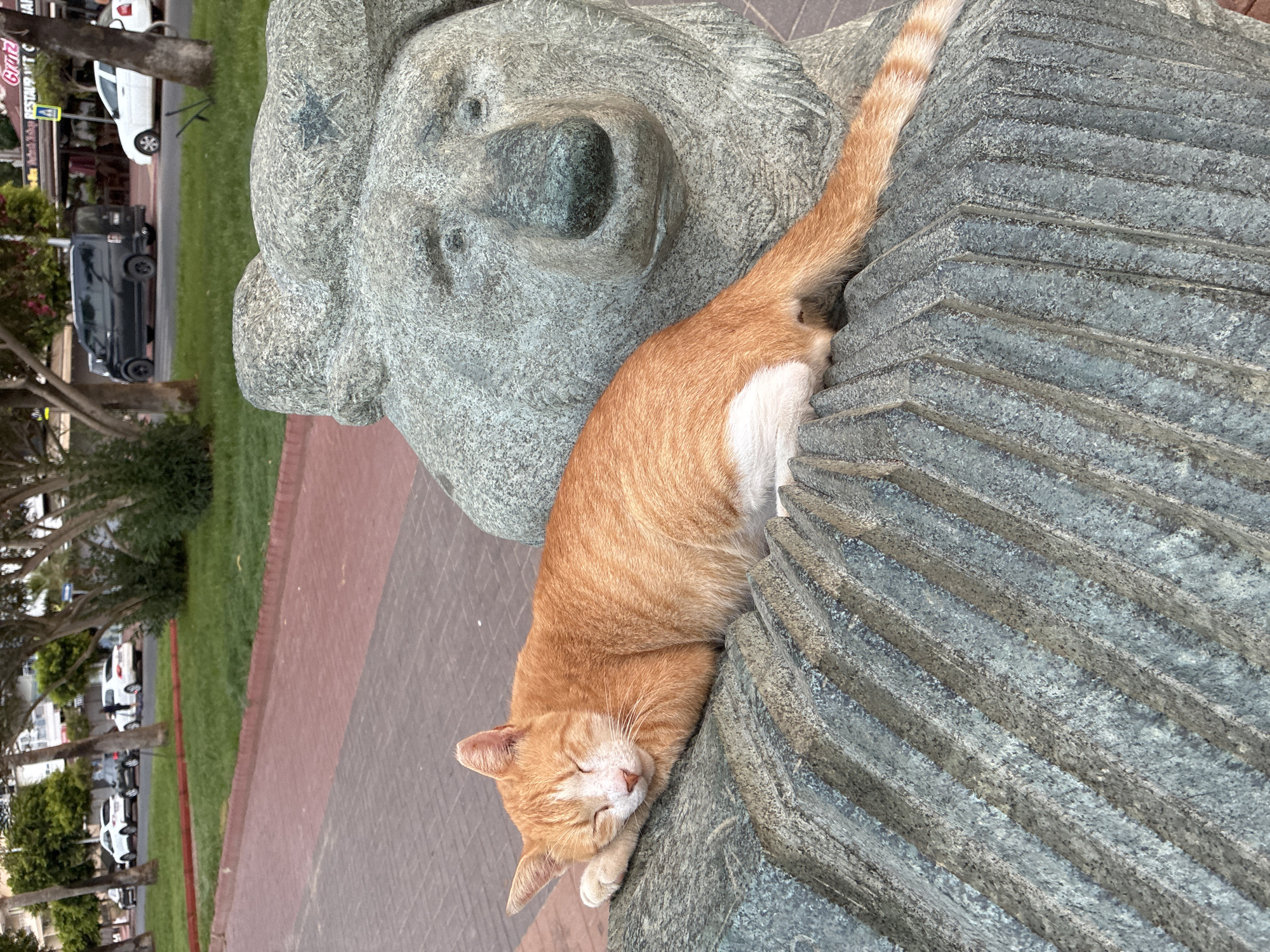 An orange and white cat is sleeping on a stone sculpture of a bear's head, with its body resting on the sculpture's ribbed surface. The cat is curled up, with its eyes closed and its paws tucked beneath its head. The bear sculpture appears to be part of a public artwork, likely located in a city park or plaza in Alanya, Turkey, given the presence of palm trees and urban background elements visible in the distance. The background shows a sidewalk, grass, trees, and a street with cars and a building. The lighting suggests it is daytime, possibly late afternoon or early evening.
