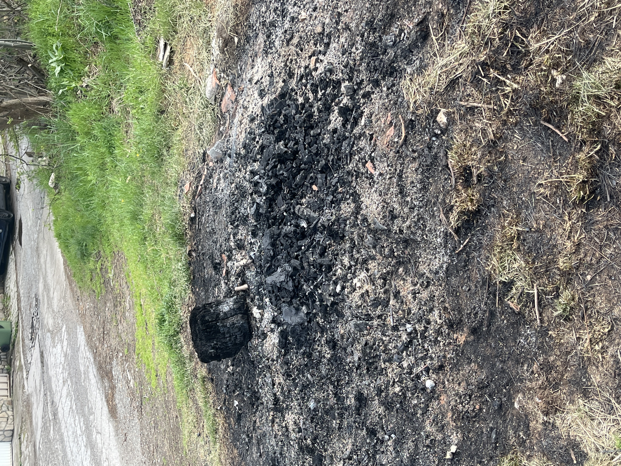 The image depicts a patch of burnt ground surrounded by green grass and dry vegetation. At the center is a concentration of black ash and partially burned wood fragments. A larger piece of charred wood lies on the edge of the burnt area. The ground surrounding the ash is partially scorched. To the left of the burnt patch is a concrete or paved surface with some green grass. Based on visual clues alone, there is no definitive evidence to identify the location specifically within the city of Sofia, Bulgaria.