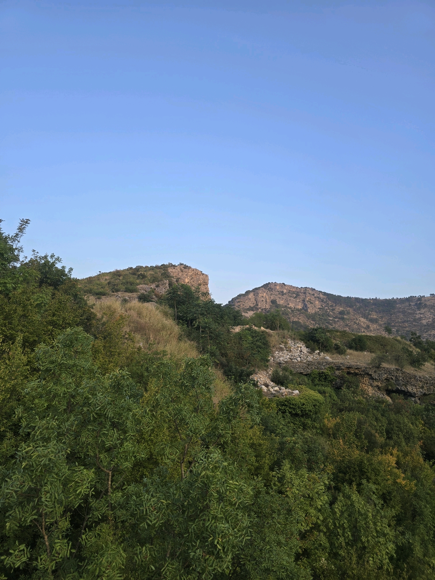 The image depicts a natural landscape with rolling hills and a clear blue sky. In the foreground, dense green foliage dominates the lower portion of the frame, with some lighter green and yellowish hues suggesting variations in plant life. Behind this, the terrain rises into rocky hillsides dotted with sparse vegetation. The prominent feature of the background is a series of layered hills, with one peak appearing more rugged and rocky than the others. The sky is a consistent, cloudless light blue, indicating a calm day. There are no people or man-made structures visible in the image. The scene is likely situated in a rural or mountainous area given the topography and vegetation.